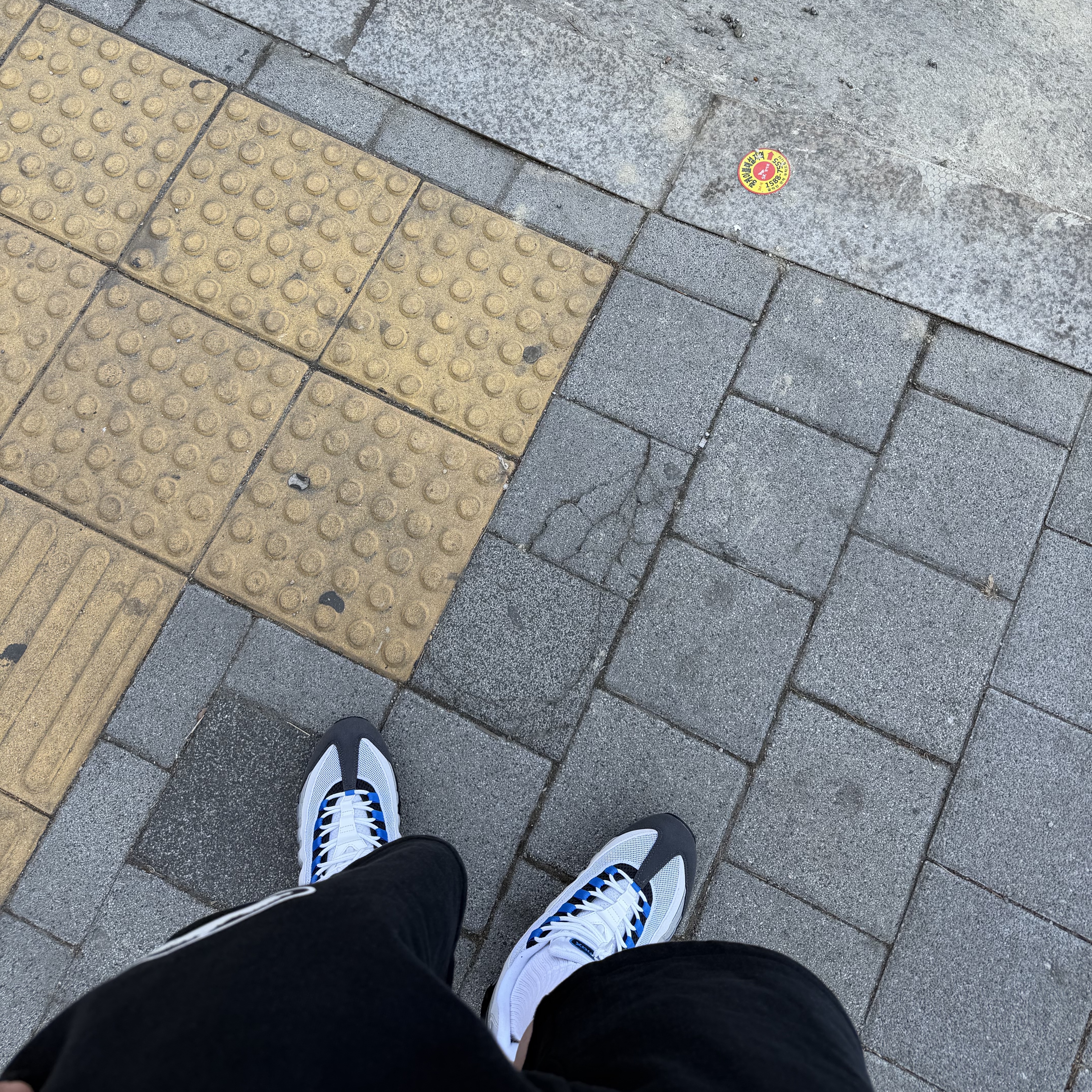 Nike Air Max 95 OG Cool Grey and Blue Spark, Corteiz Island Puff Print Sweatshort Black 착용 스타일
