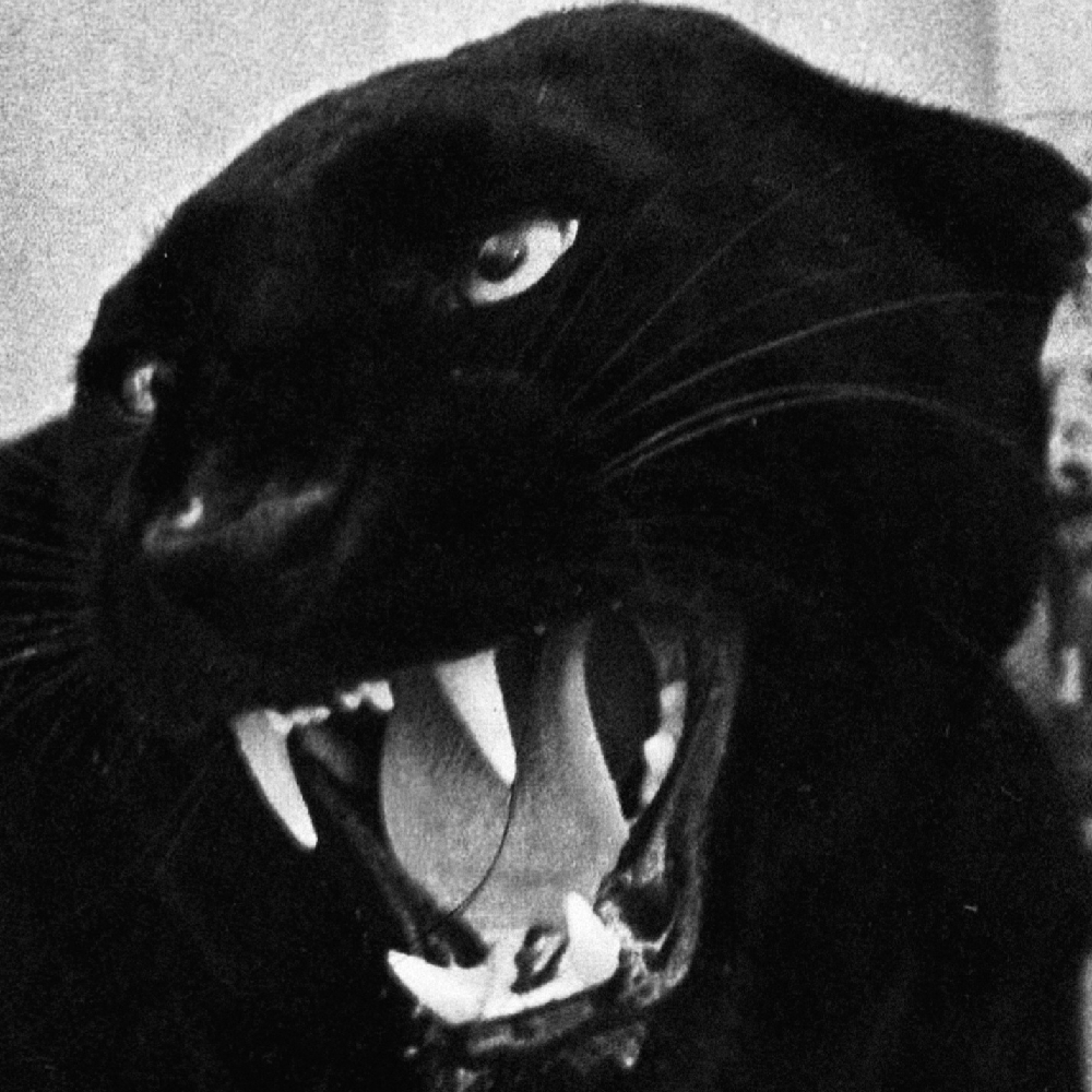 관심 유저 프로필 이미지