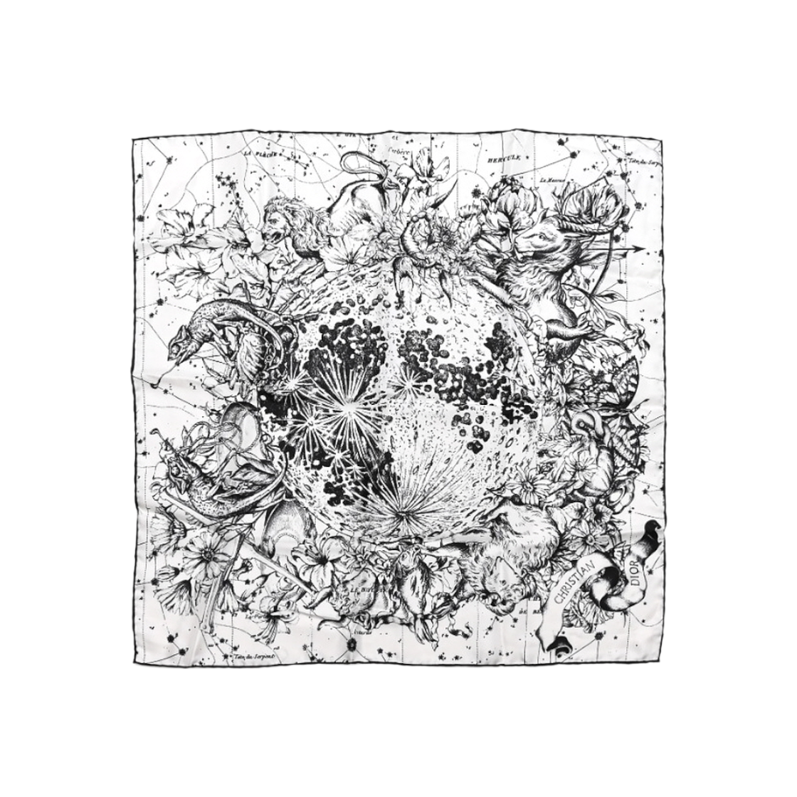 ITGMAHSUHEFO Dior Silk Cashmere Blend Multi Print Scarf