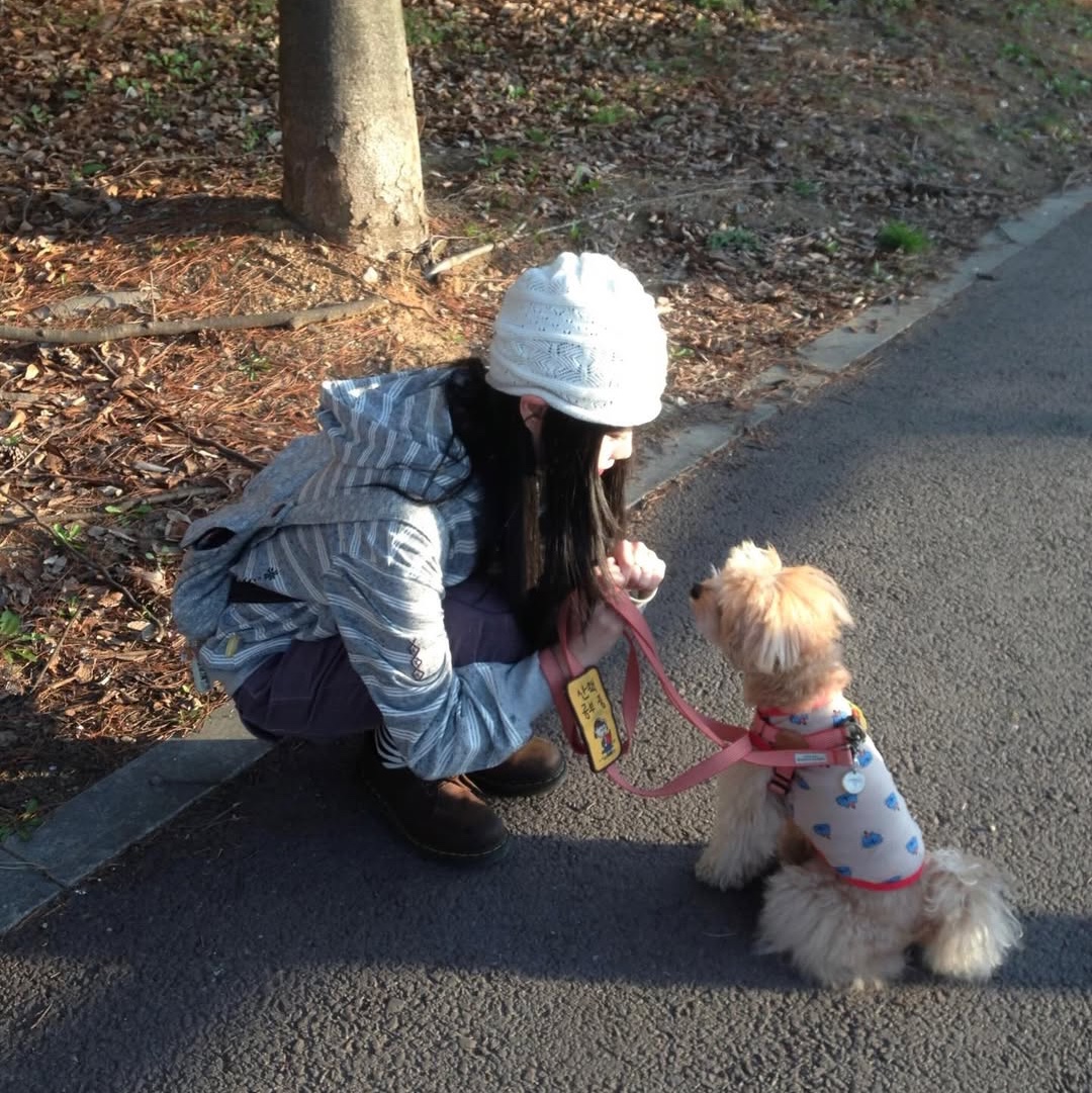 MAINBOOTH Cookie Stripe Hood T-shirt GRAY 착용 스타일 - 3