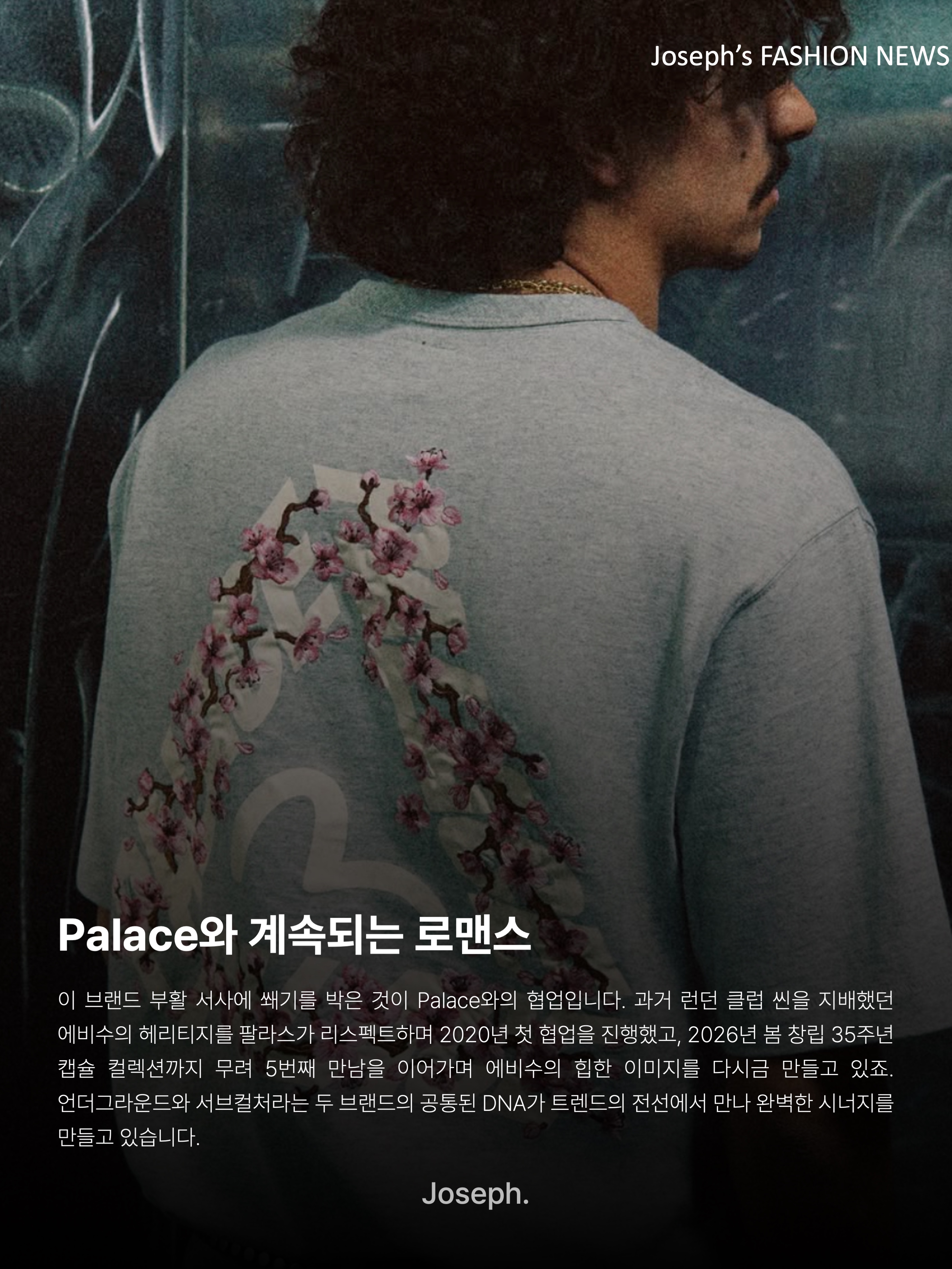 Palace x Evisu 2008 Classic Daicock Denim Jeans Indigo Mid Wash - 21FW, Palace x Evisu Heavy Wash T-Shirt Grey Marl - 26SS 착용 스타일 - 10