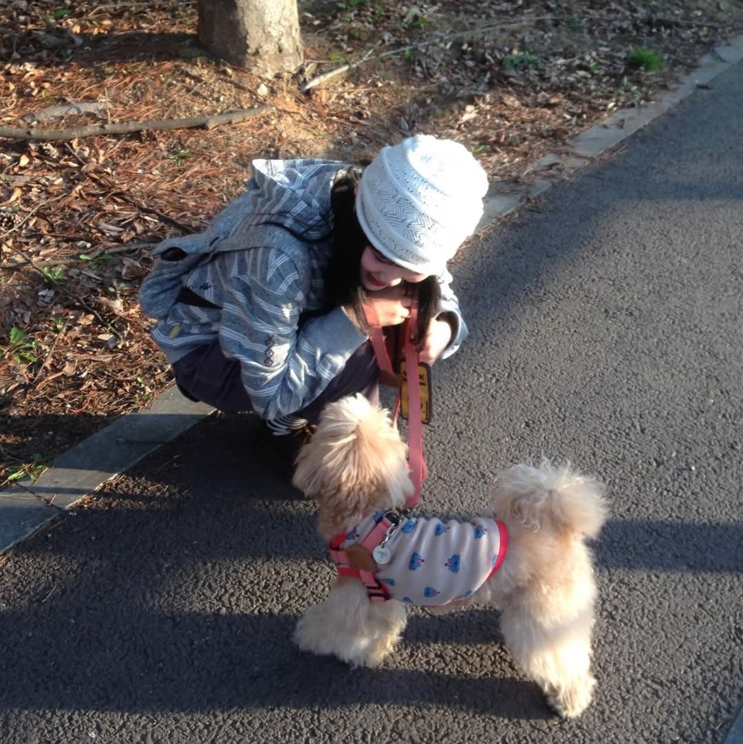 MAINBOOTH Cookie Stripe Hood T-shirt GRAY 착용 스타일 - 4