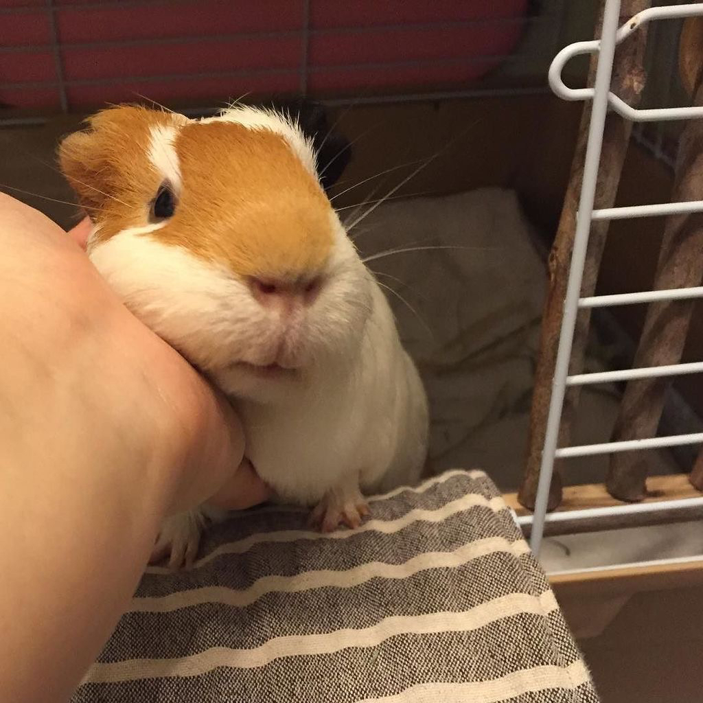 관심 유저 프로필 이미지