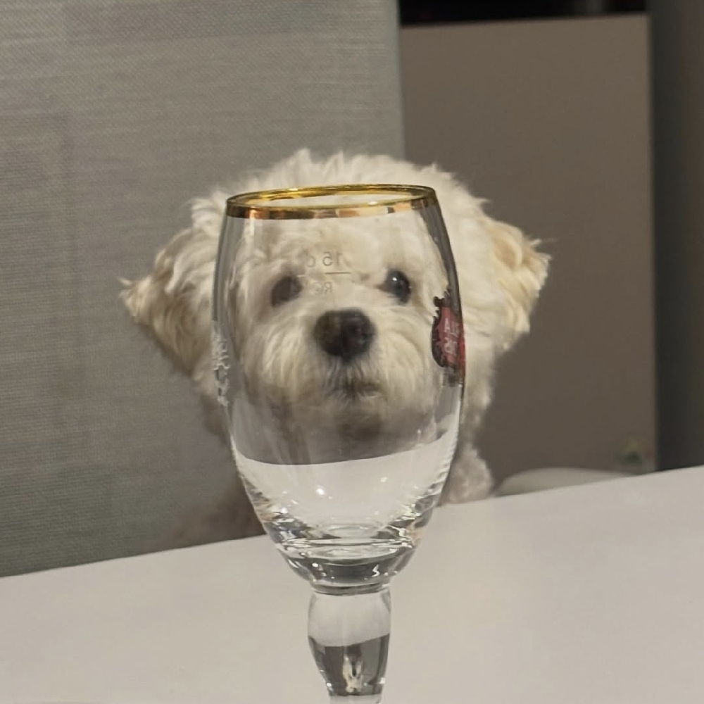 관심 유저 프로필 이미지