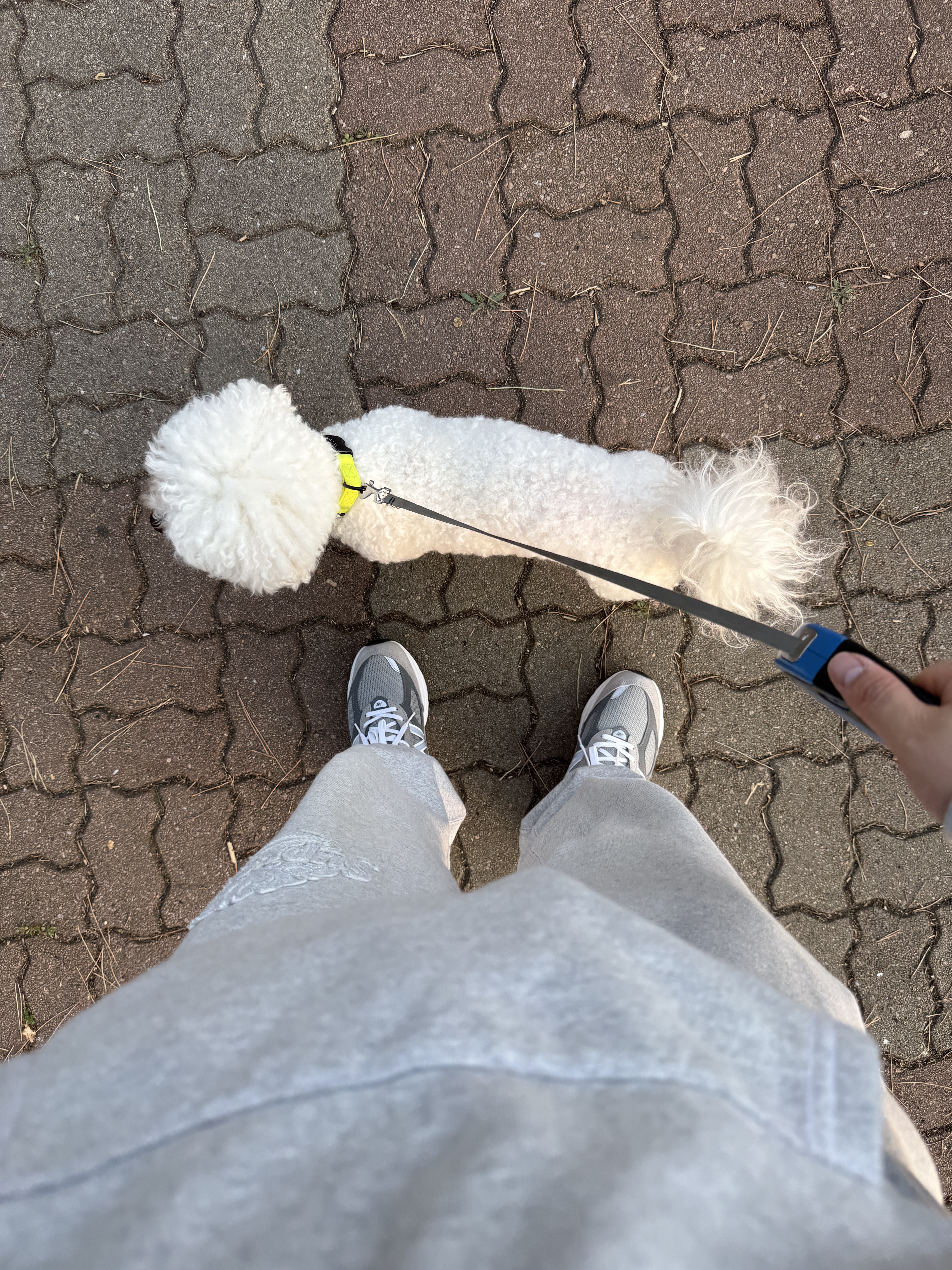 New Balance 990v6 Made in USA Grey - D Standard, Supreme x Timberland Hooded Sweatshirt Heather Grey - 23SS 착용 스타일