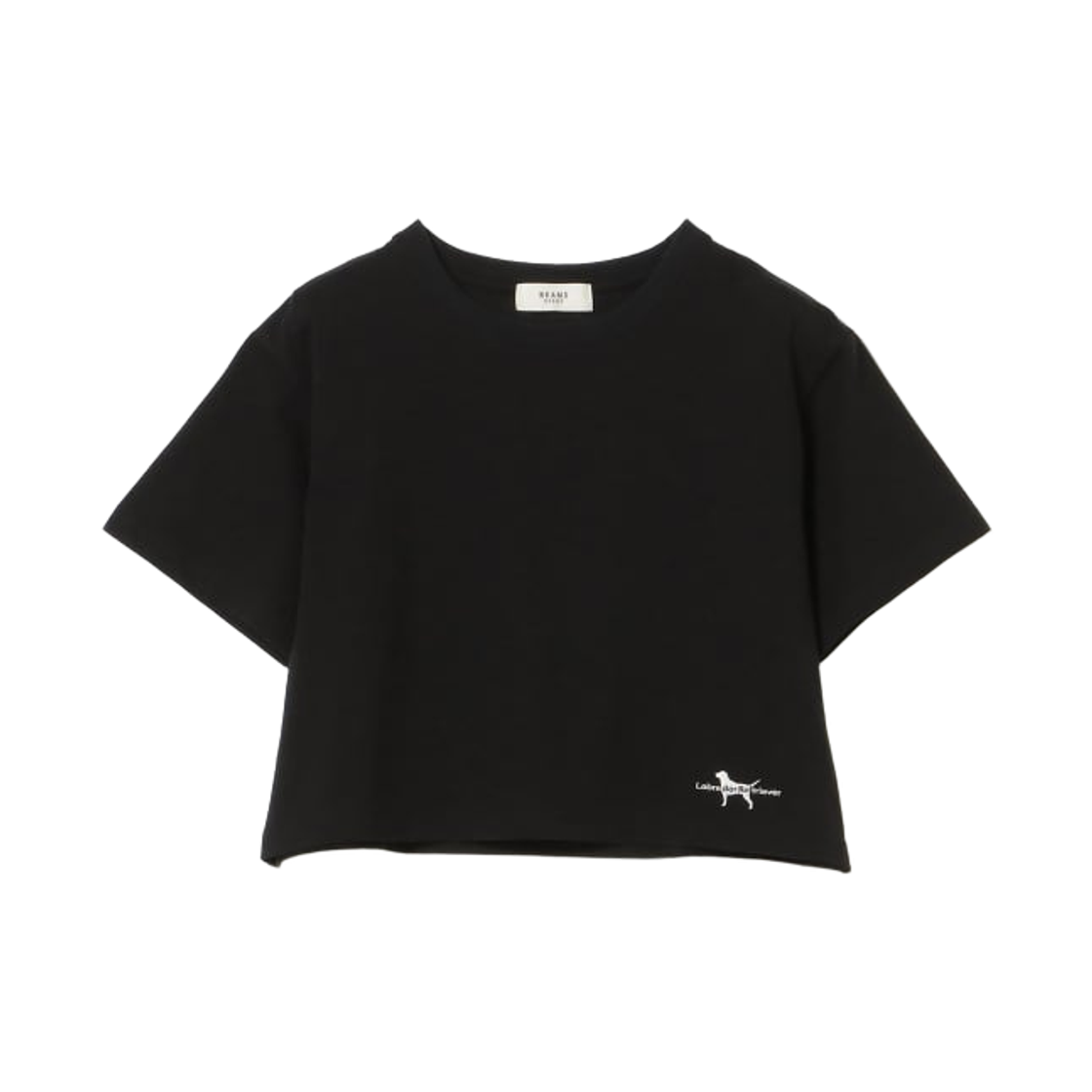 43-04-0351-213 (W) Beams Heart x Labrador Retriever T-Shirt Black