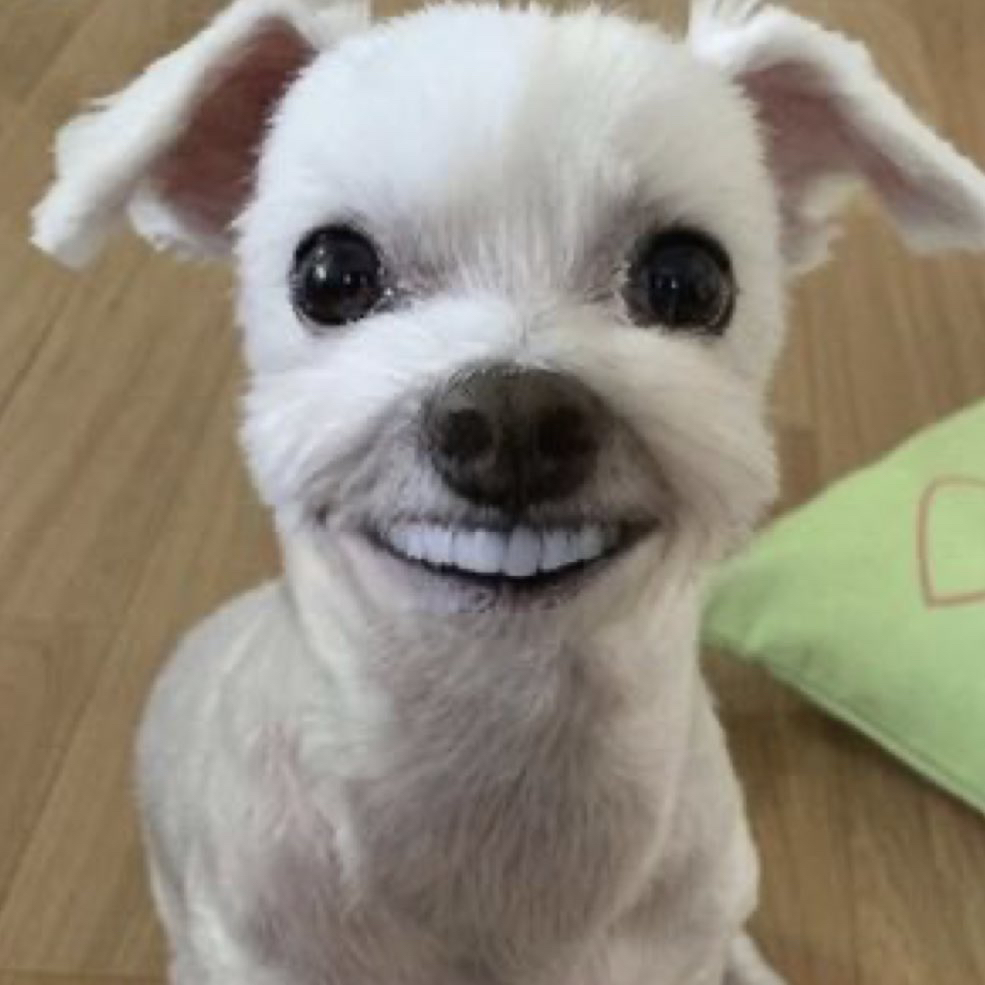 관심 유저 프로필 이미지