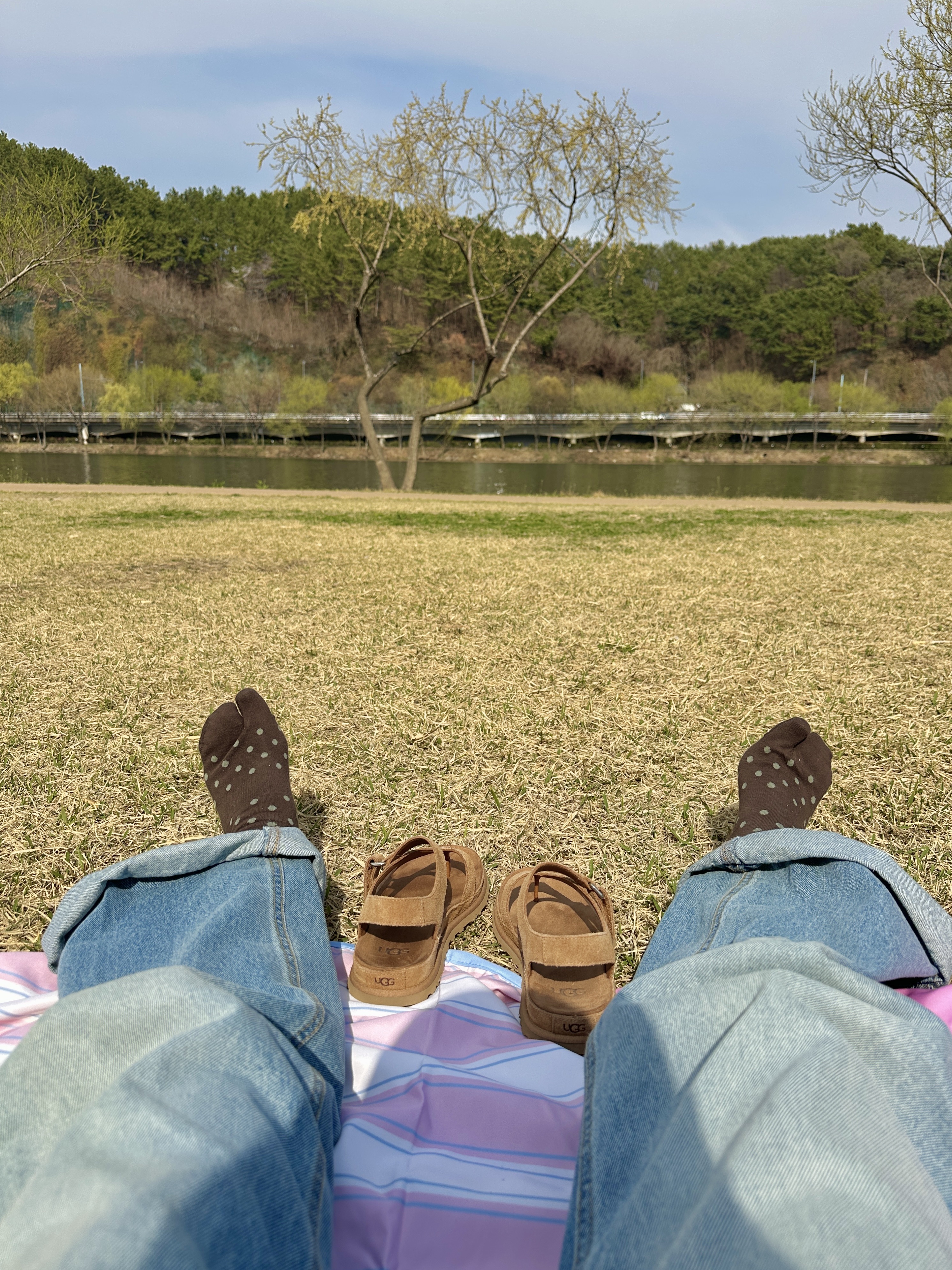 (W) UGG Goldengaze Toe Post Sandal Chestnut 착용 스타일 - 4