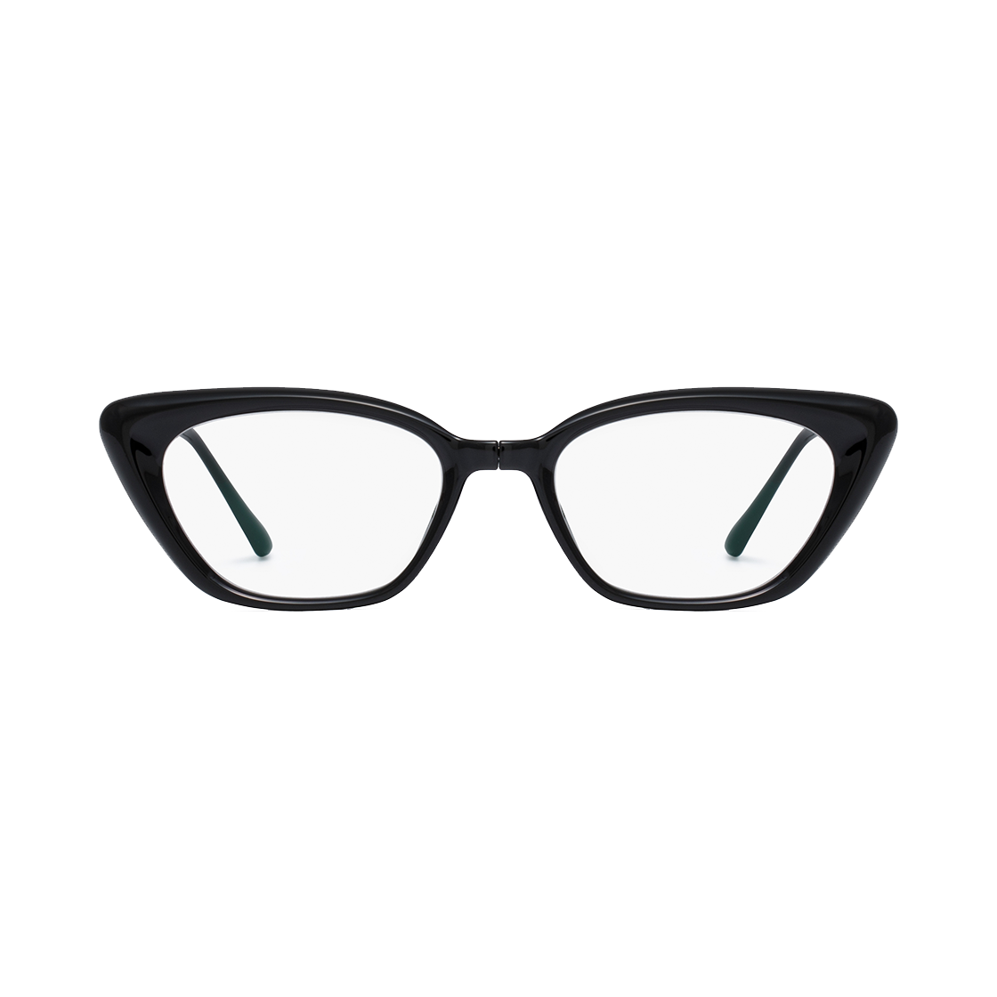 리끌로우 엔클로스 F 폴더 안경 블랙(RECLOW Enclos F Folder Glass Black) - 1