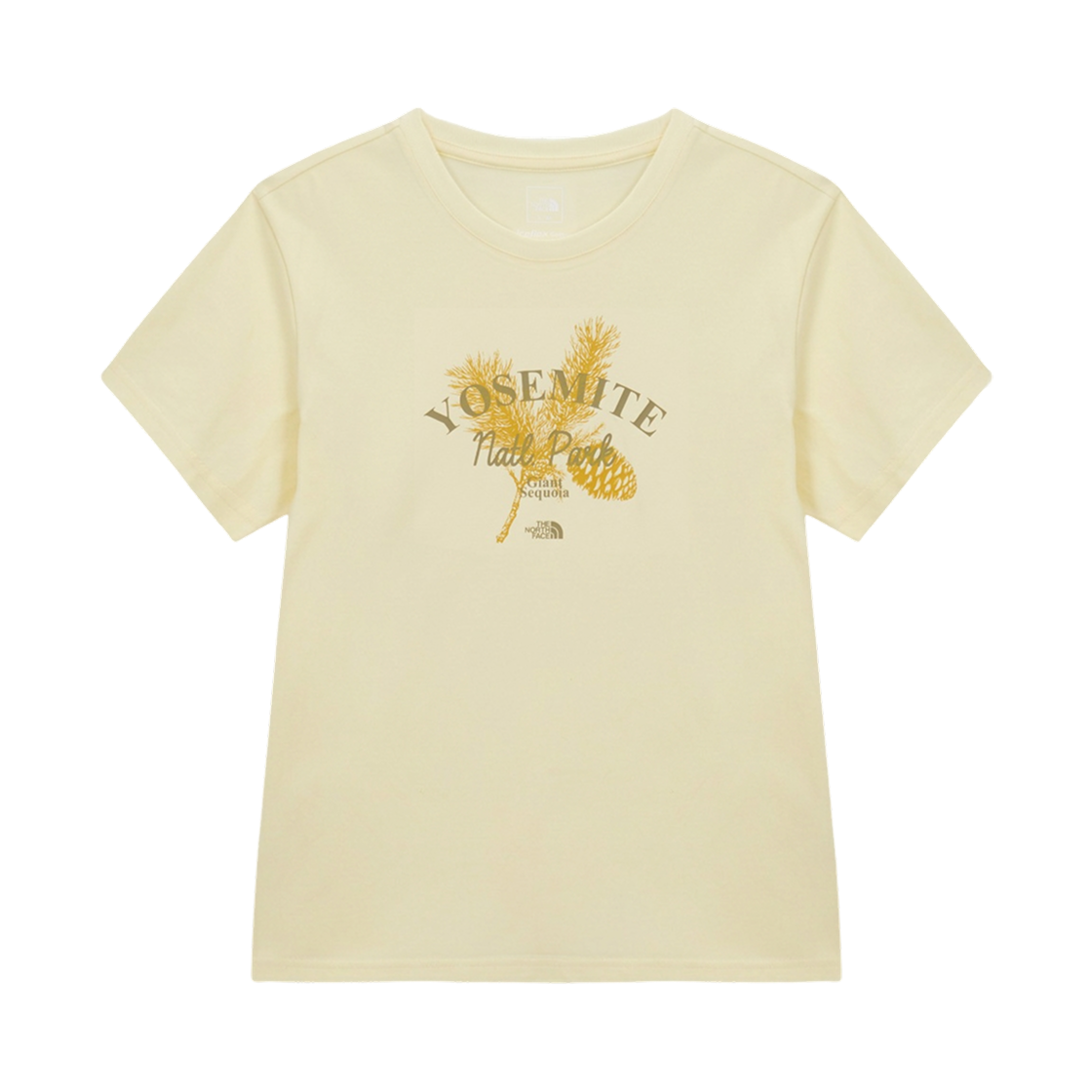 NT7US33C (W) The North Face Daypine S/S R/T-Shirt Light Yellow - 26SS