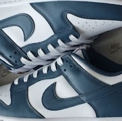 Nike Dunk Low Retro Valerian Blue 착용 스타일