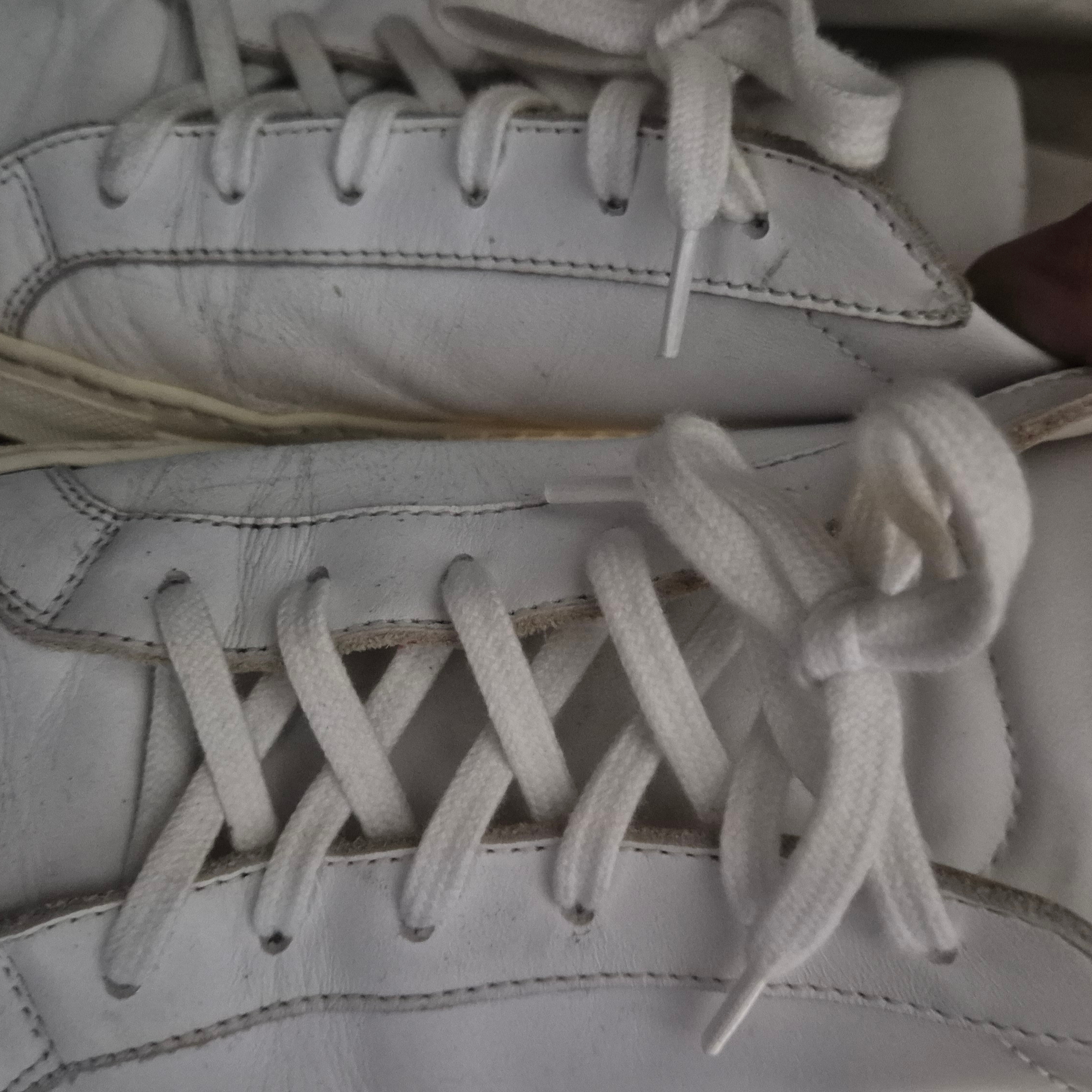 Common Projects Original Achilles Low White 착용 스타일