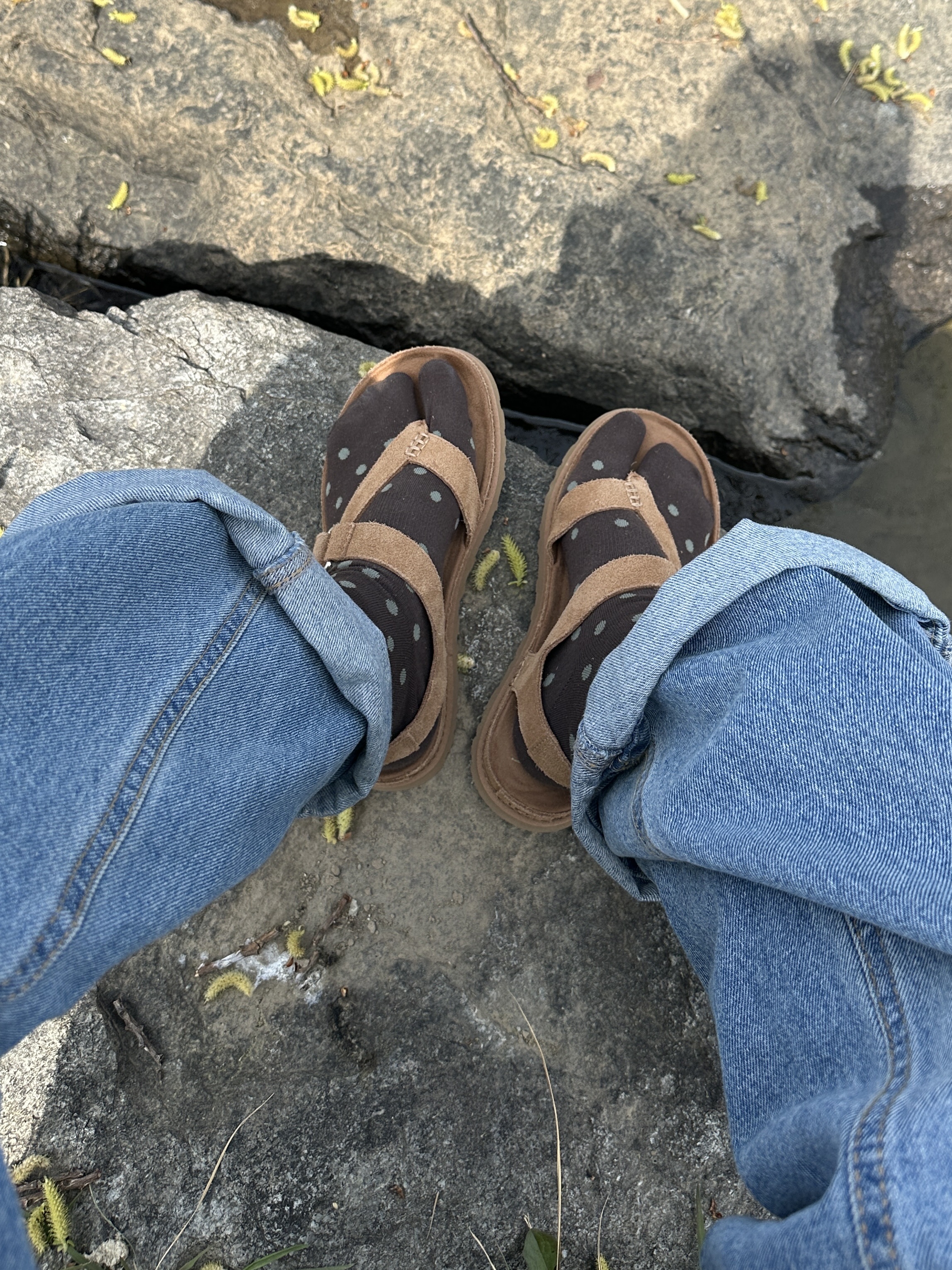 (W) UGG Goldengaze Toe Post Sandal Chestnut 착용 스타일 - 5
