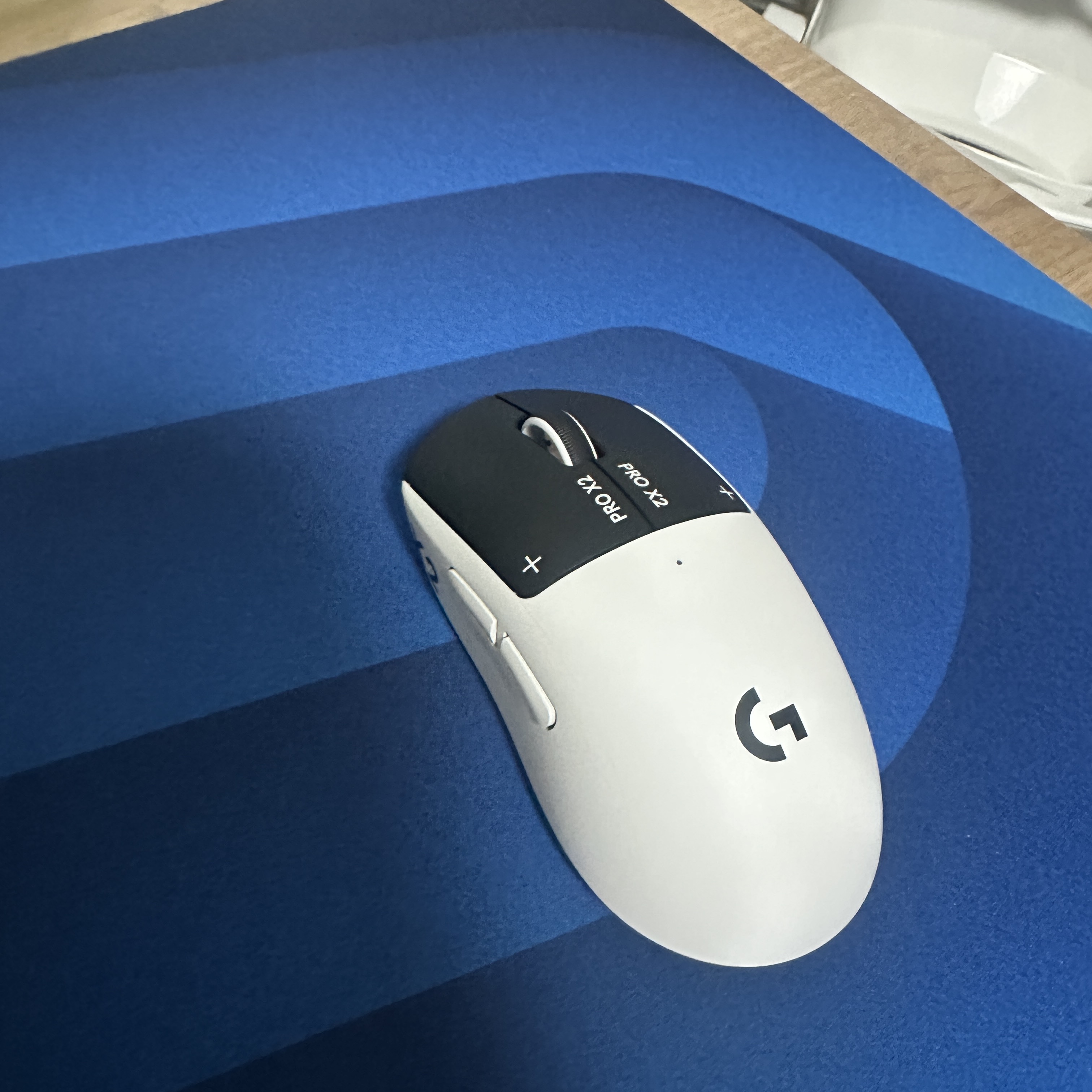 Logitech G Pro X 2 Superstrike Wireless Gaming Mouse Silver Black (Korean Ver.) 착용 스타일