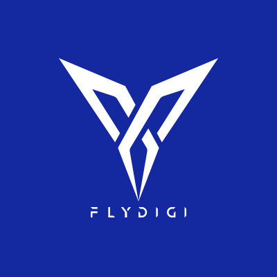 플라이디지(FLYDIGI)