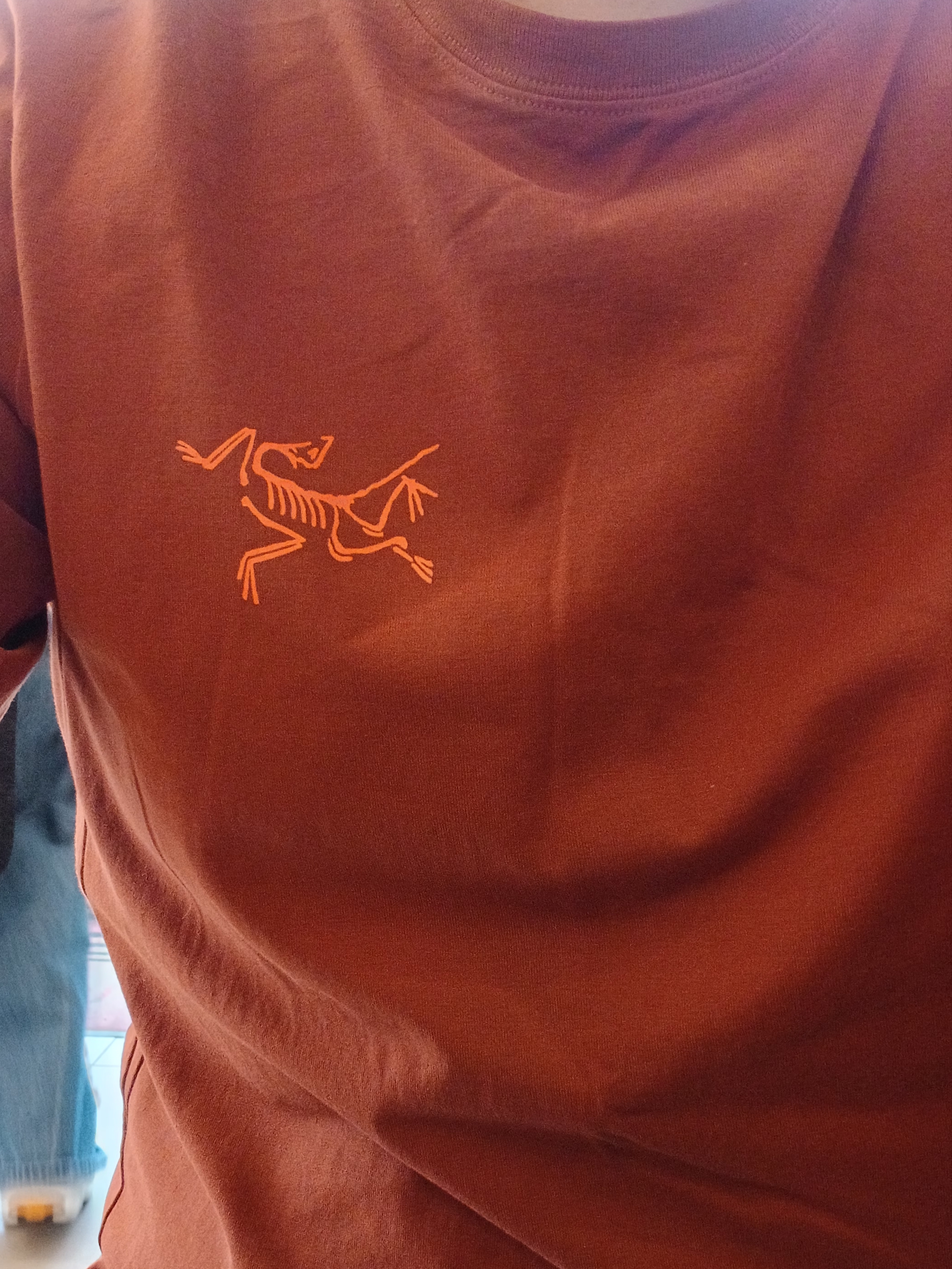 Arc'teryx Arc'Multi Bird Logo LS T-Shirt Sequoia Solaris 착용 스타일 - 7