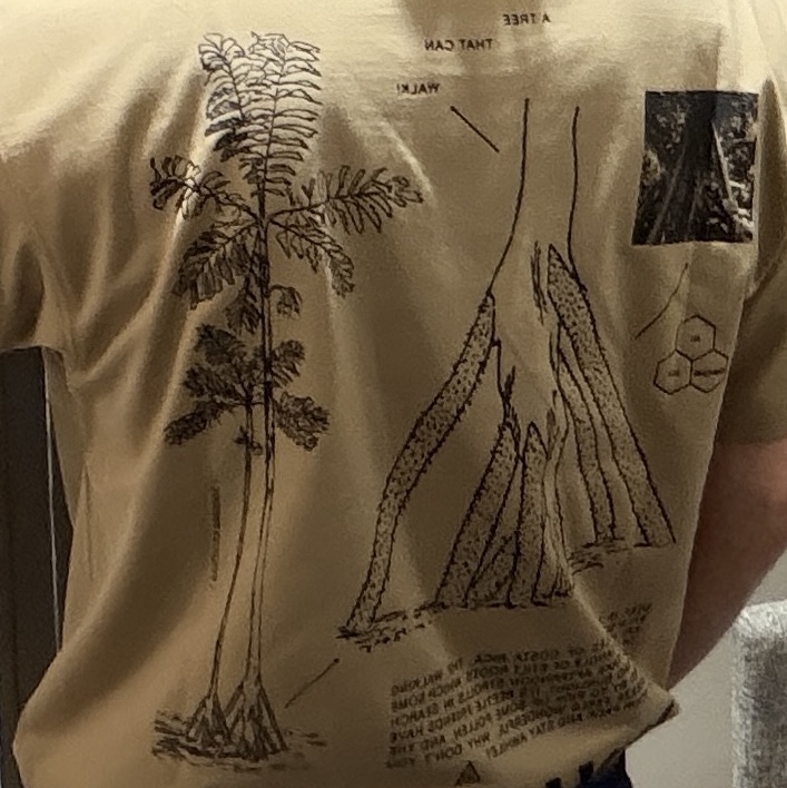 Nike ACG Walking Tree Dri-Fit T-Shirt Parachute Beige - Asia 착용 스타일 - 1
