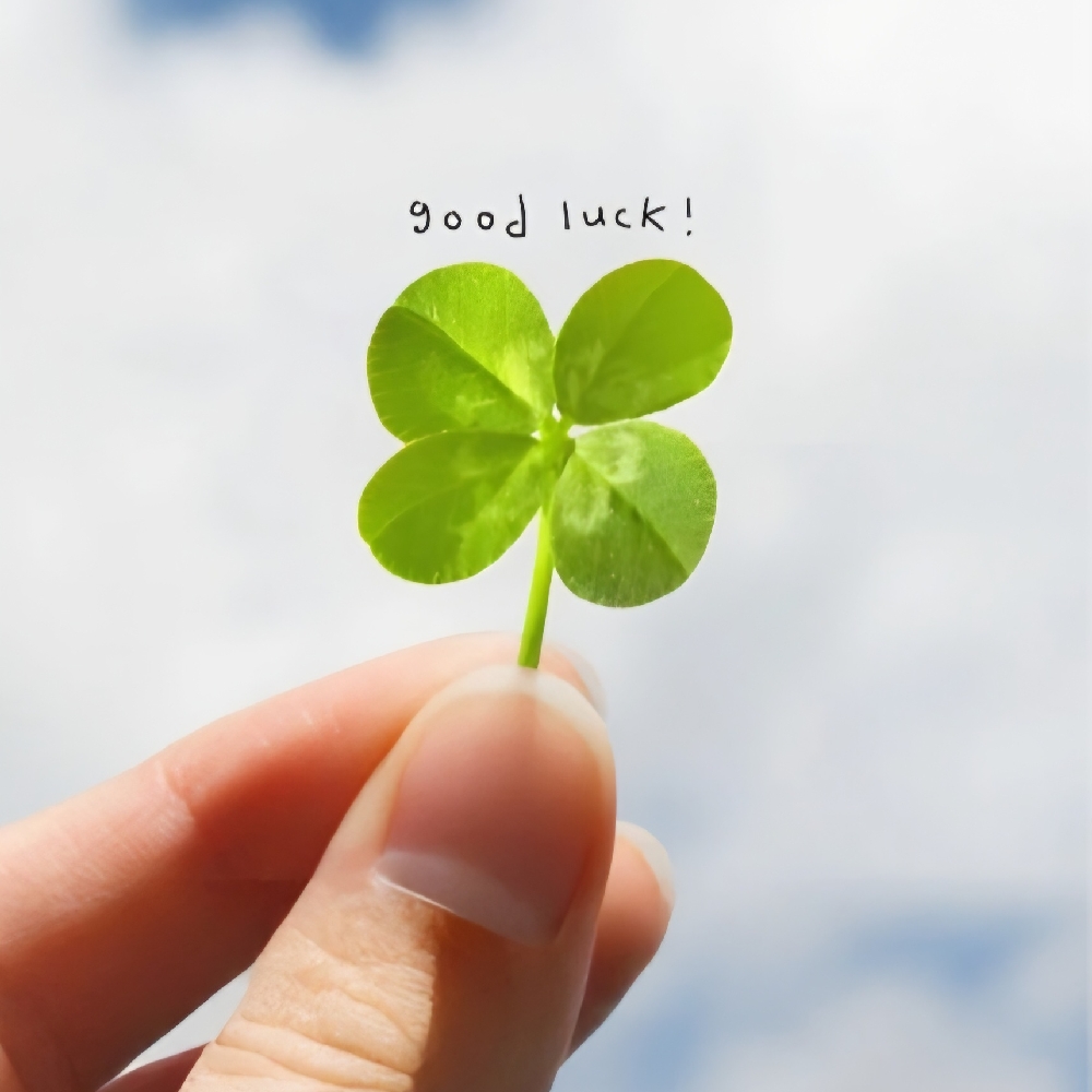 관심 유저 프로필 이미지