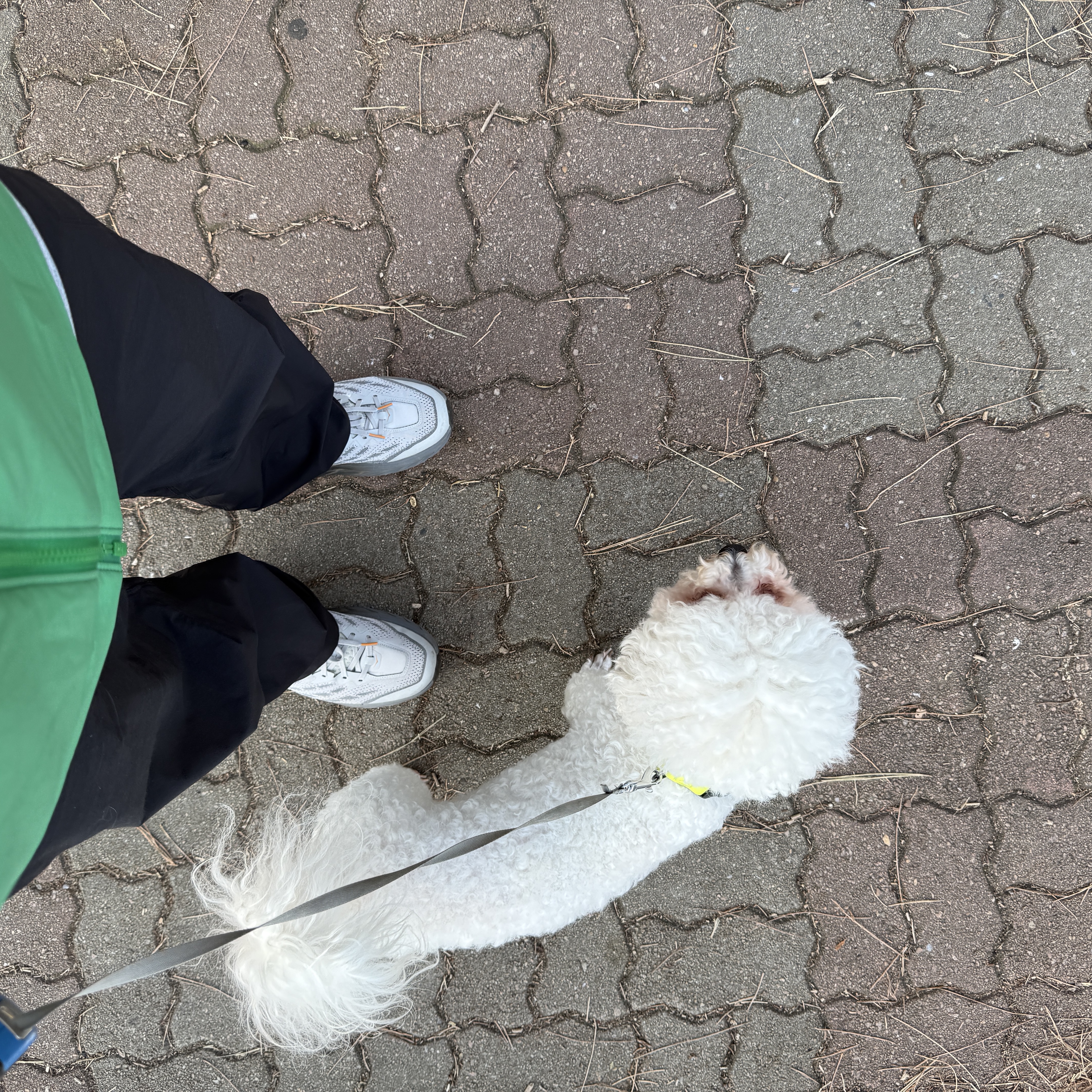 Arc'teryx Rampart Pants Black, Arc'teryx Atom LT Hoody Jungle 착용 스타일