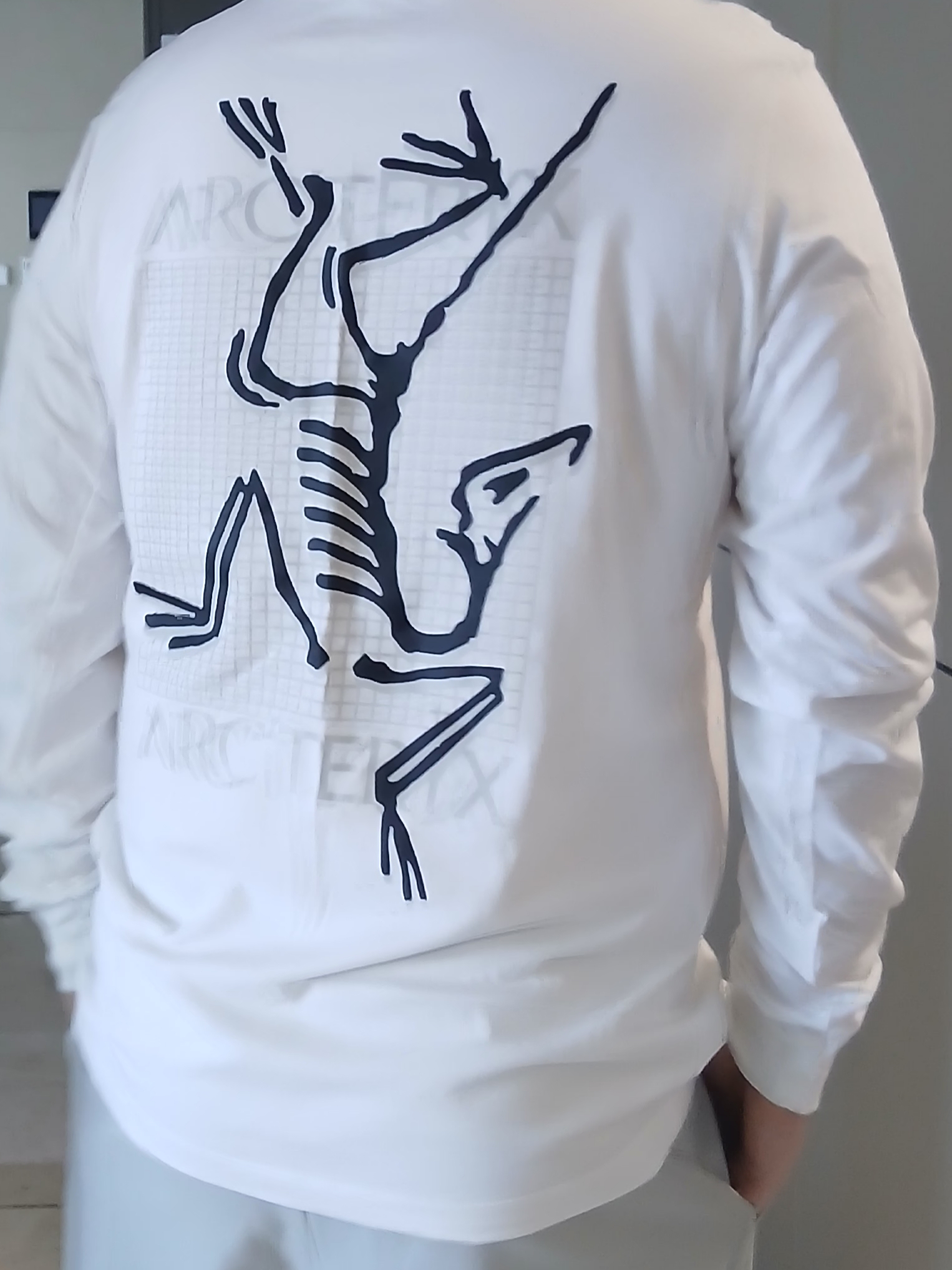 Arc'teryx Arc'Multi Bird Logo LS T-Shirt White Light 착용 스타일 - 7