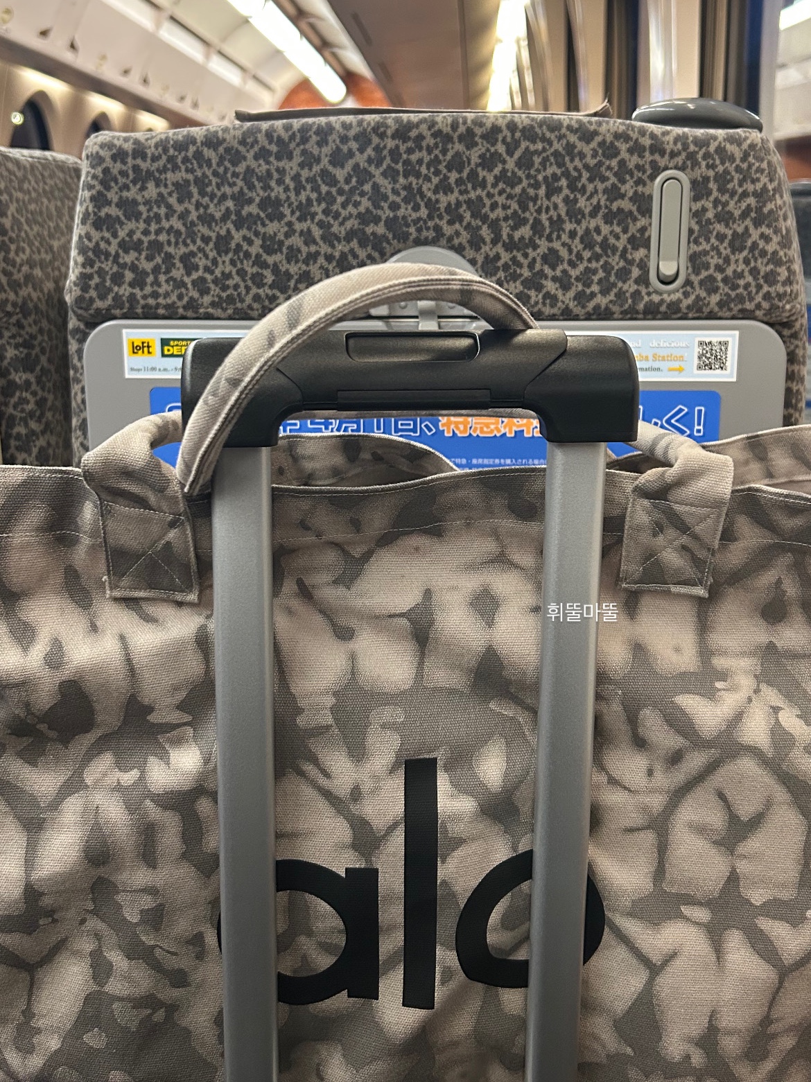 Alo Yoga Iconic Shopper Tote Bag Grey Tiedye, Montbell Trekking Glasses Silver Metallic Light Grey ์ฐฉ์ฉ ์คํ์ผ - 10