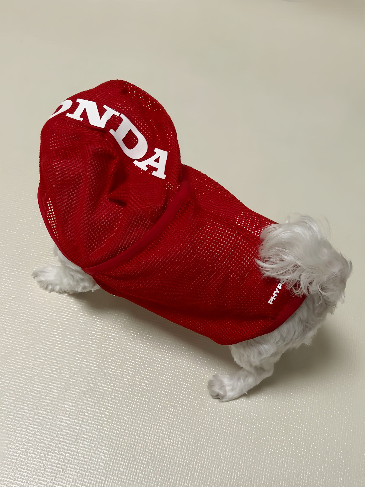 Honda Light Mesh Balaclava_Red 착용 스타일 - 2