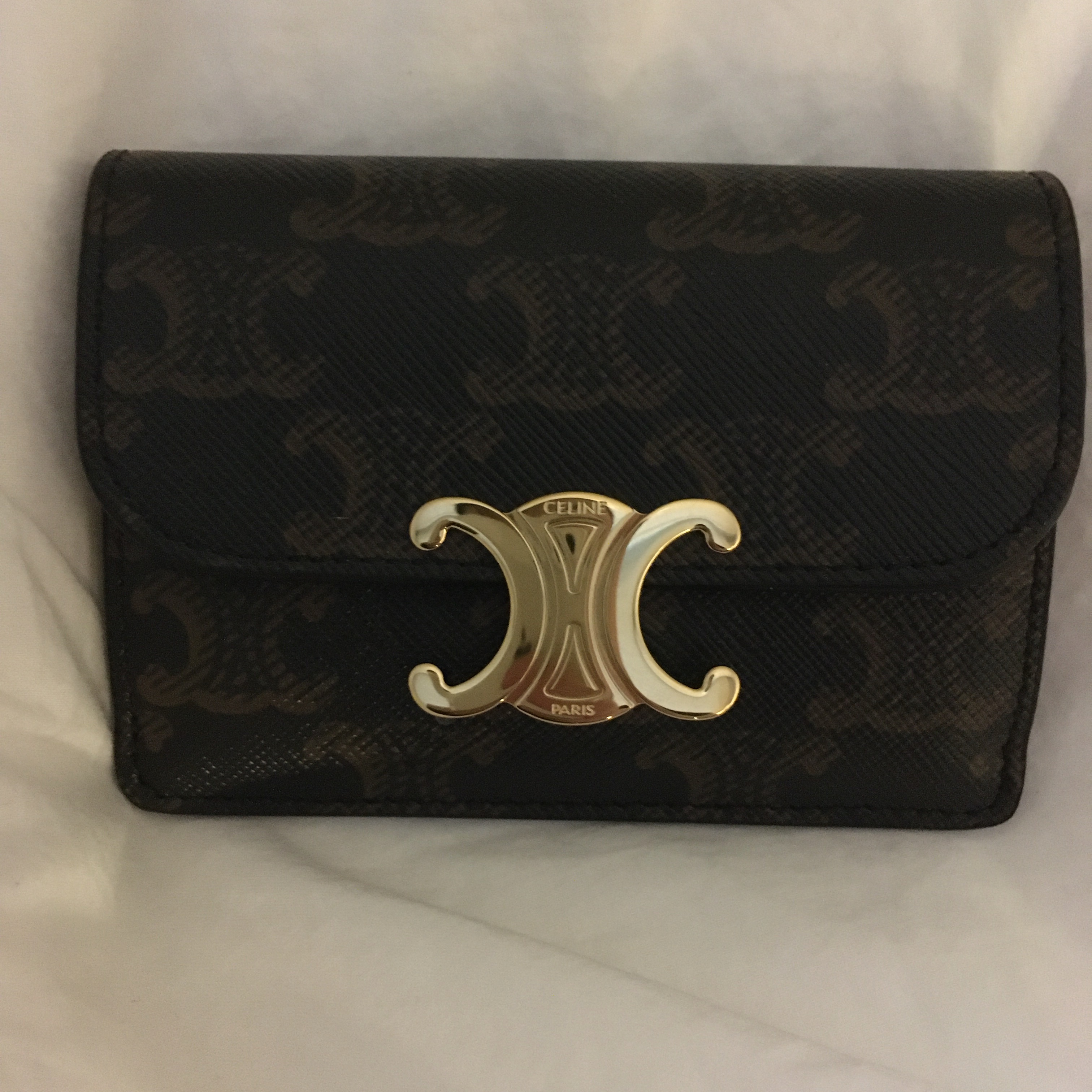 Celine Card Holder with Flap in Triomphe Canvas Tan 착용 스타일