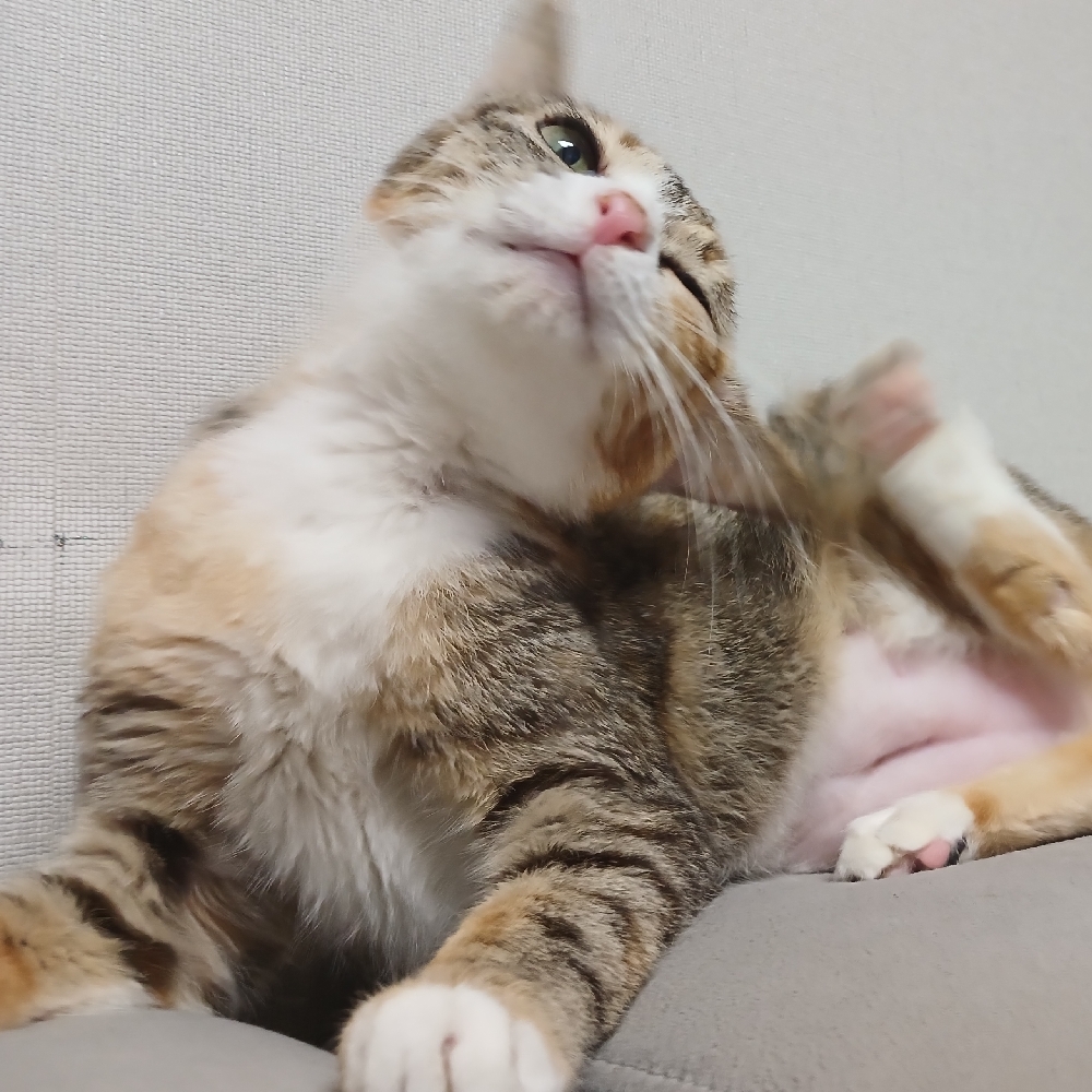 관심 유저 프로필 이미지