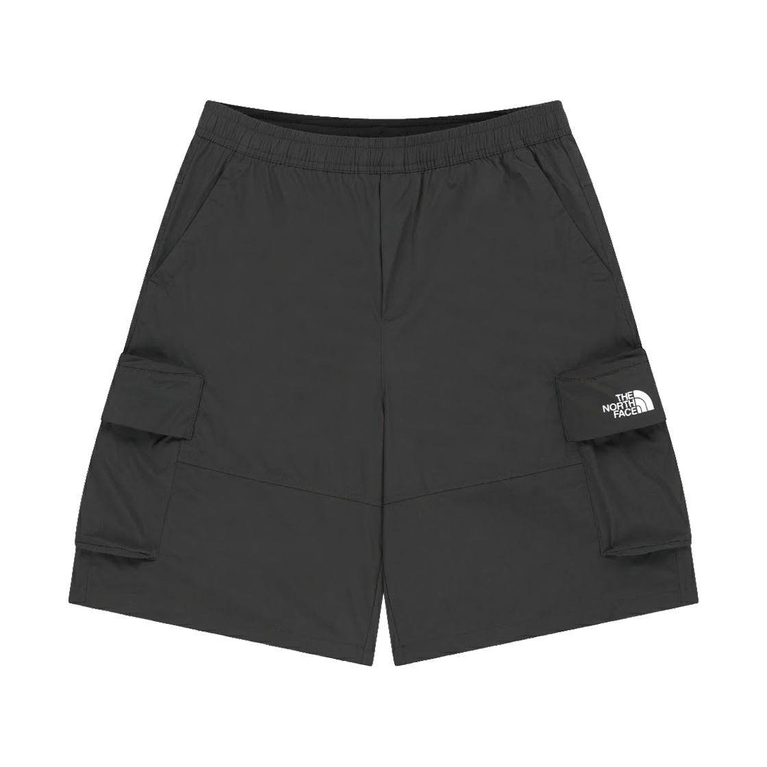NS6NS06K The North Face White Label Breelo Cargo Shorts Dark Gray - 26SS