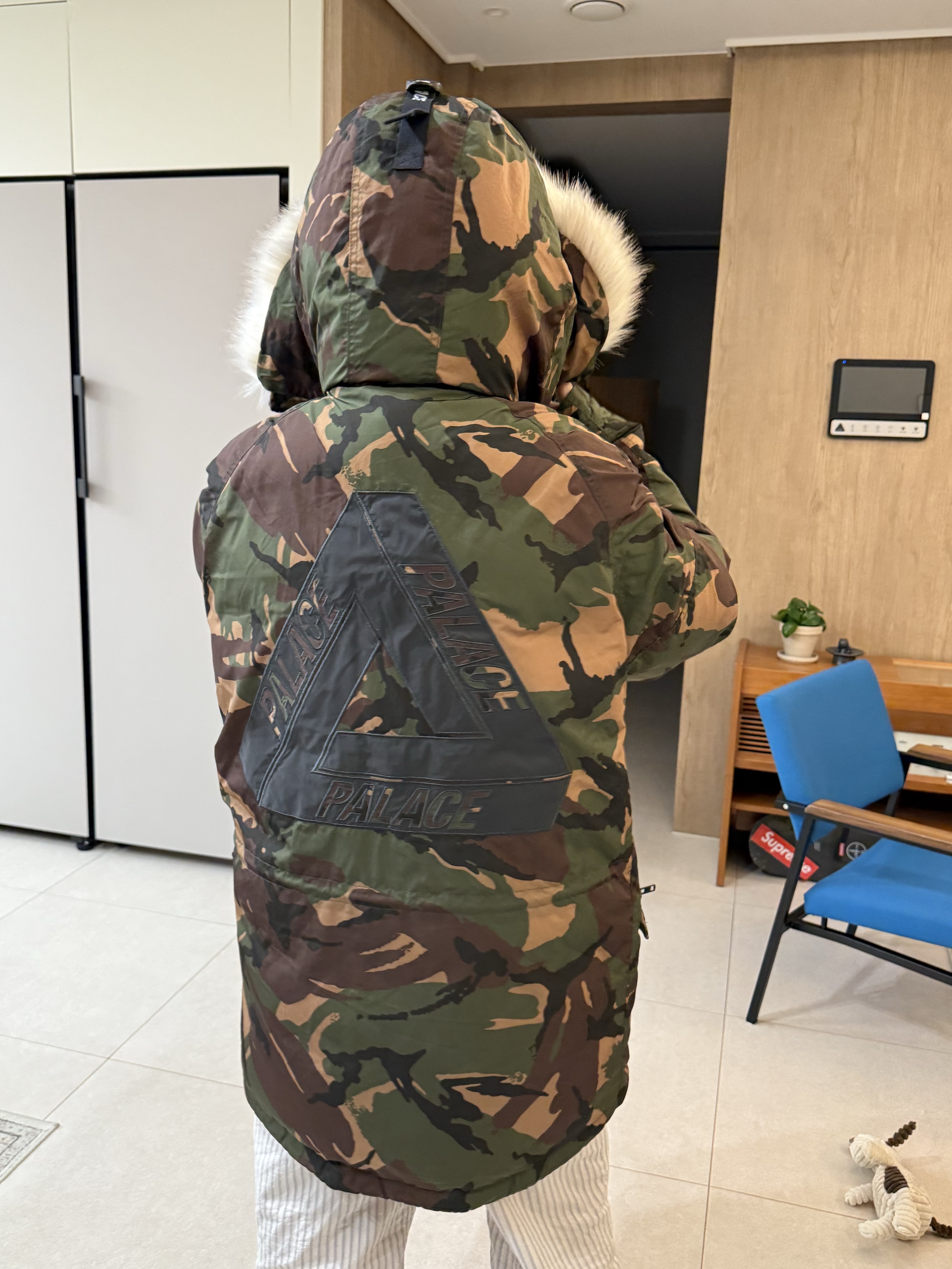 Palace P-3B DPM Parka Urban - 19FW 착용 스타일 - 2