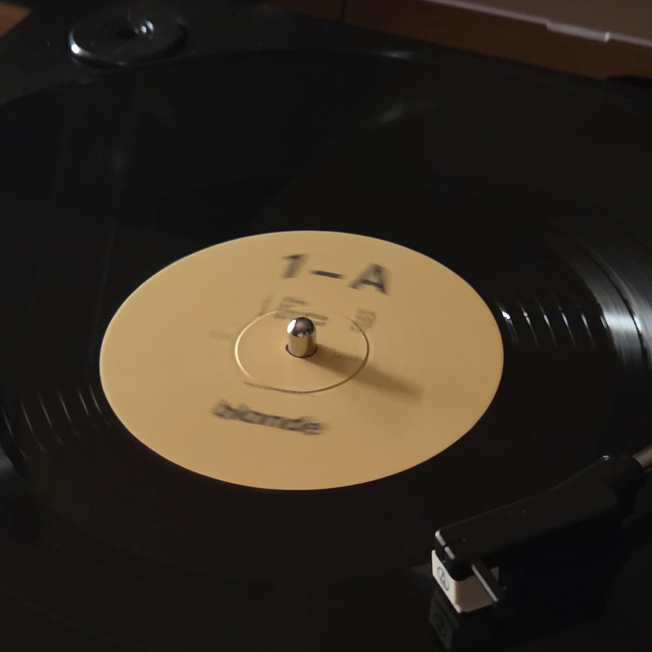 Frank Ocean Blonde Black (2LP) 착용 스타일 - 3