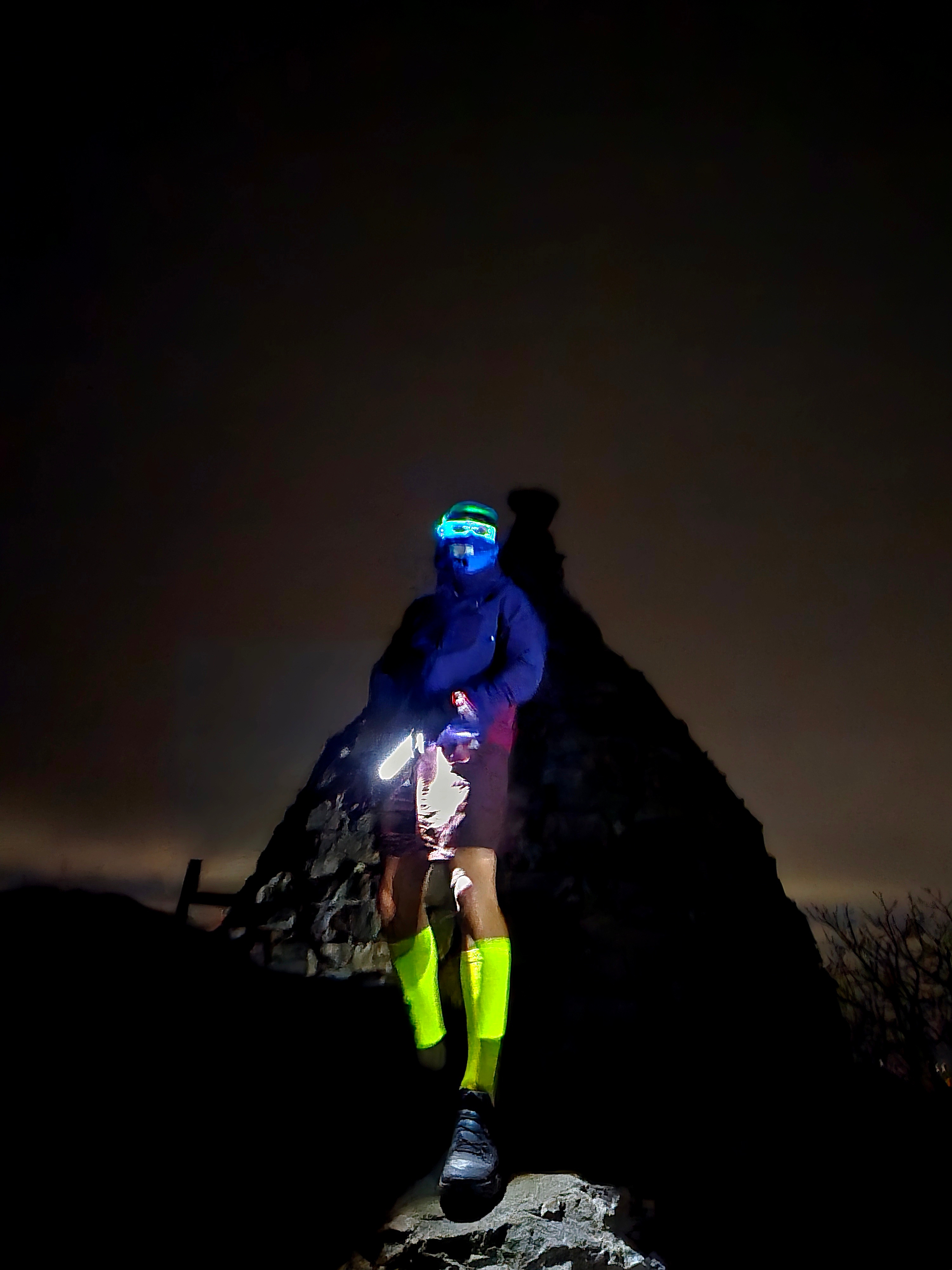 Nike NRG ACG Trail Shorts Earth - Asia 착용 스타일