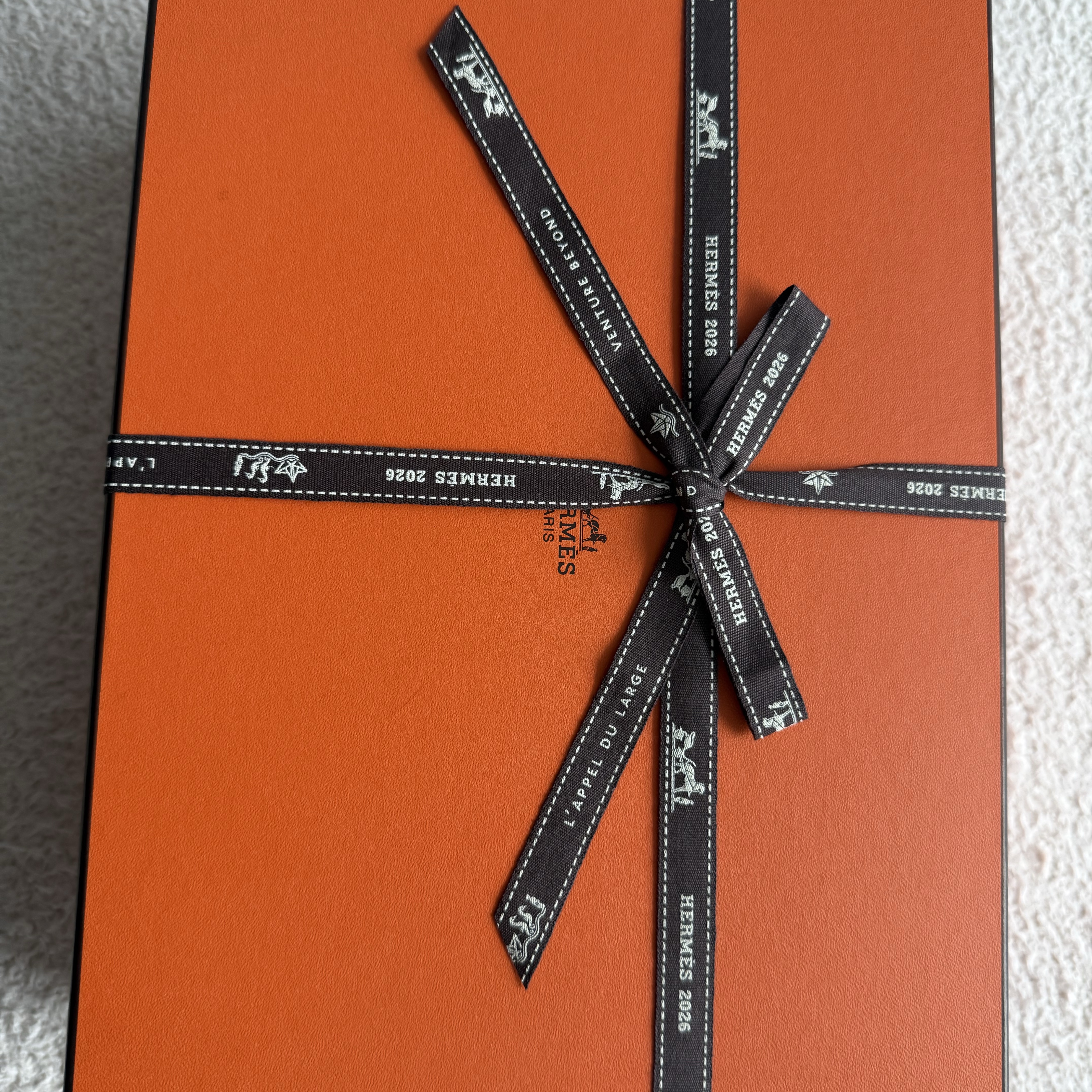 (W) Hermes Chypre Sandal Calfskin & Blanc 착용 스타일 - 2