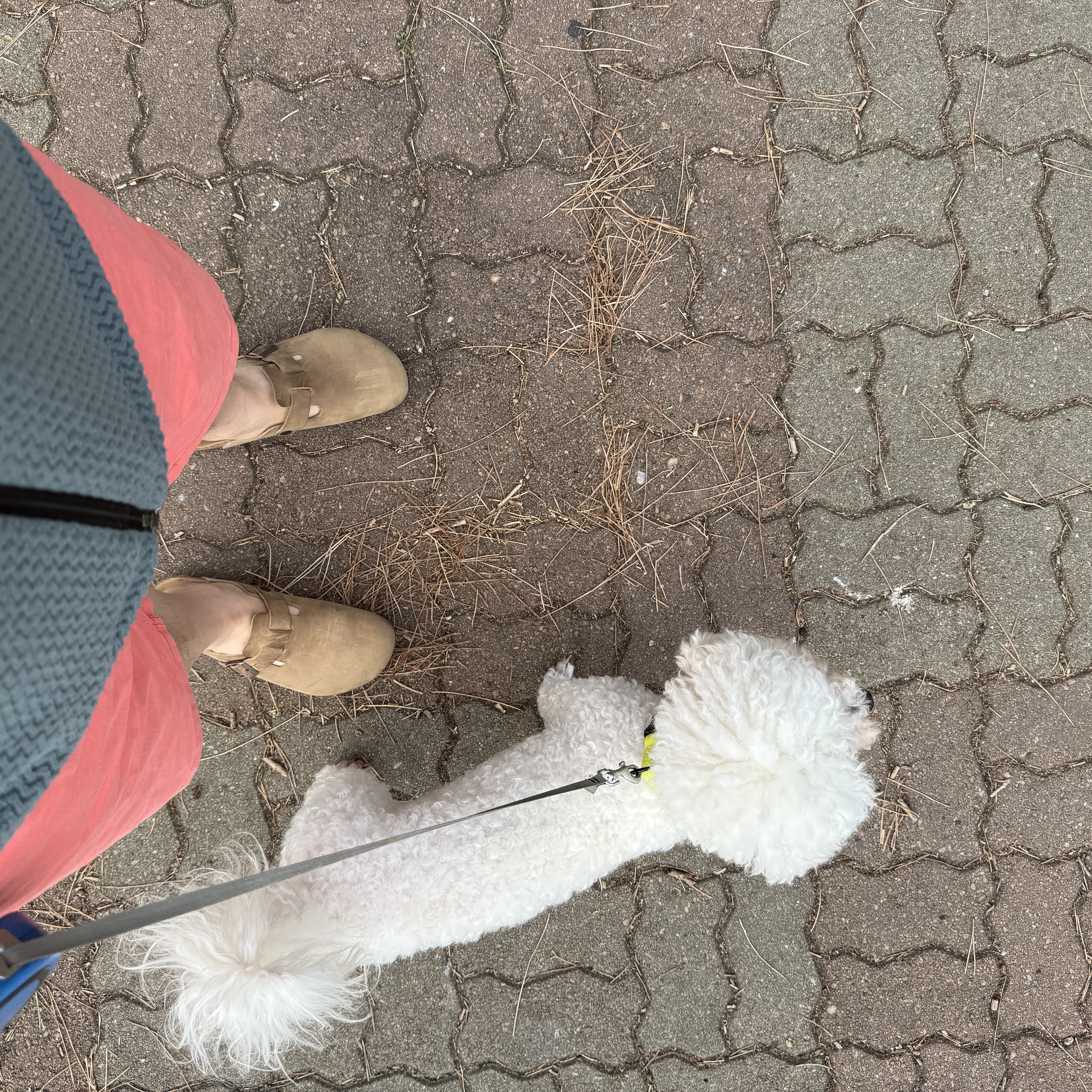 Birkenstock Boston Suede Leather Light Rose - Narrow 착용 스타일