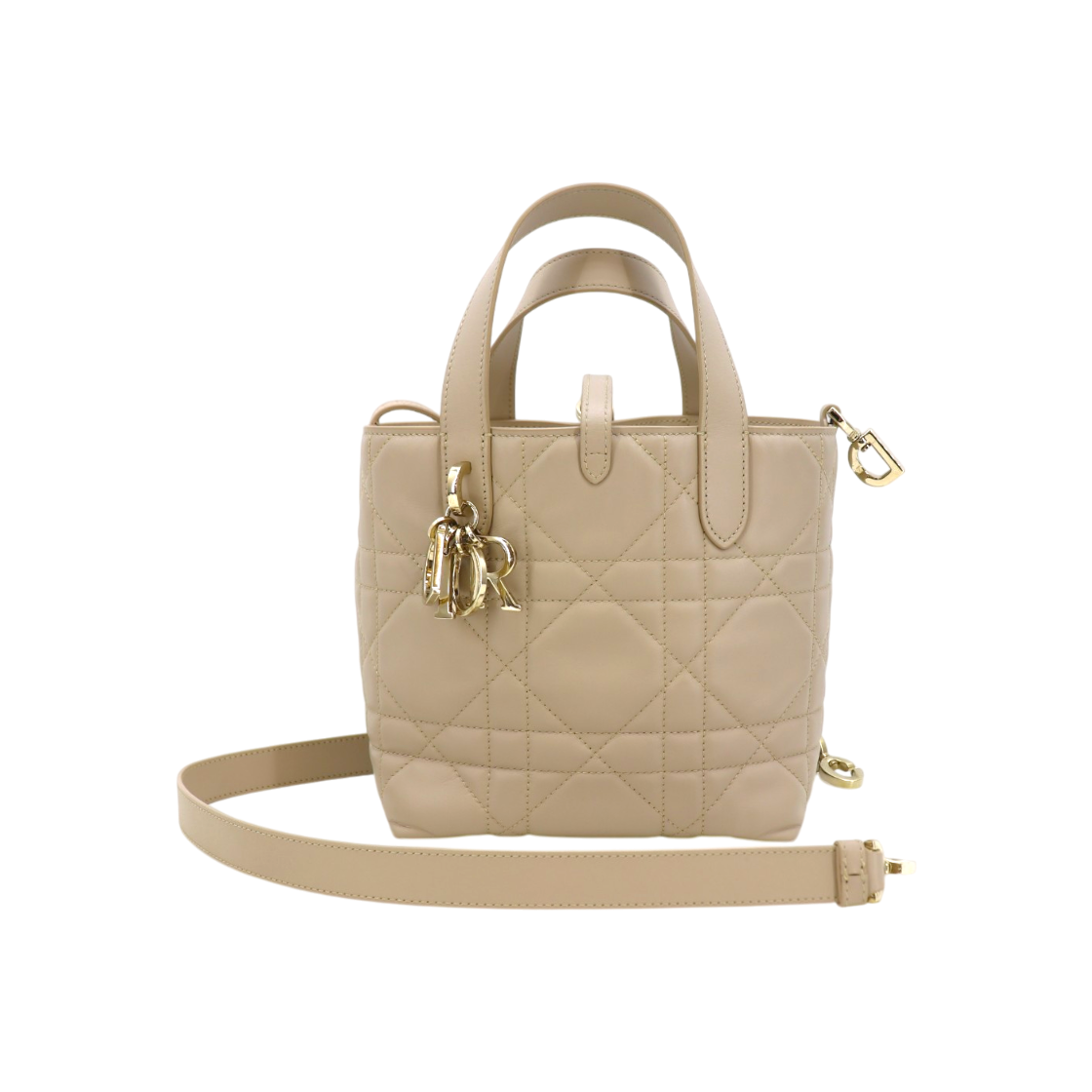 ITCVJ4APL5IP Dior Tuileries Vertical Small M2835