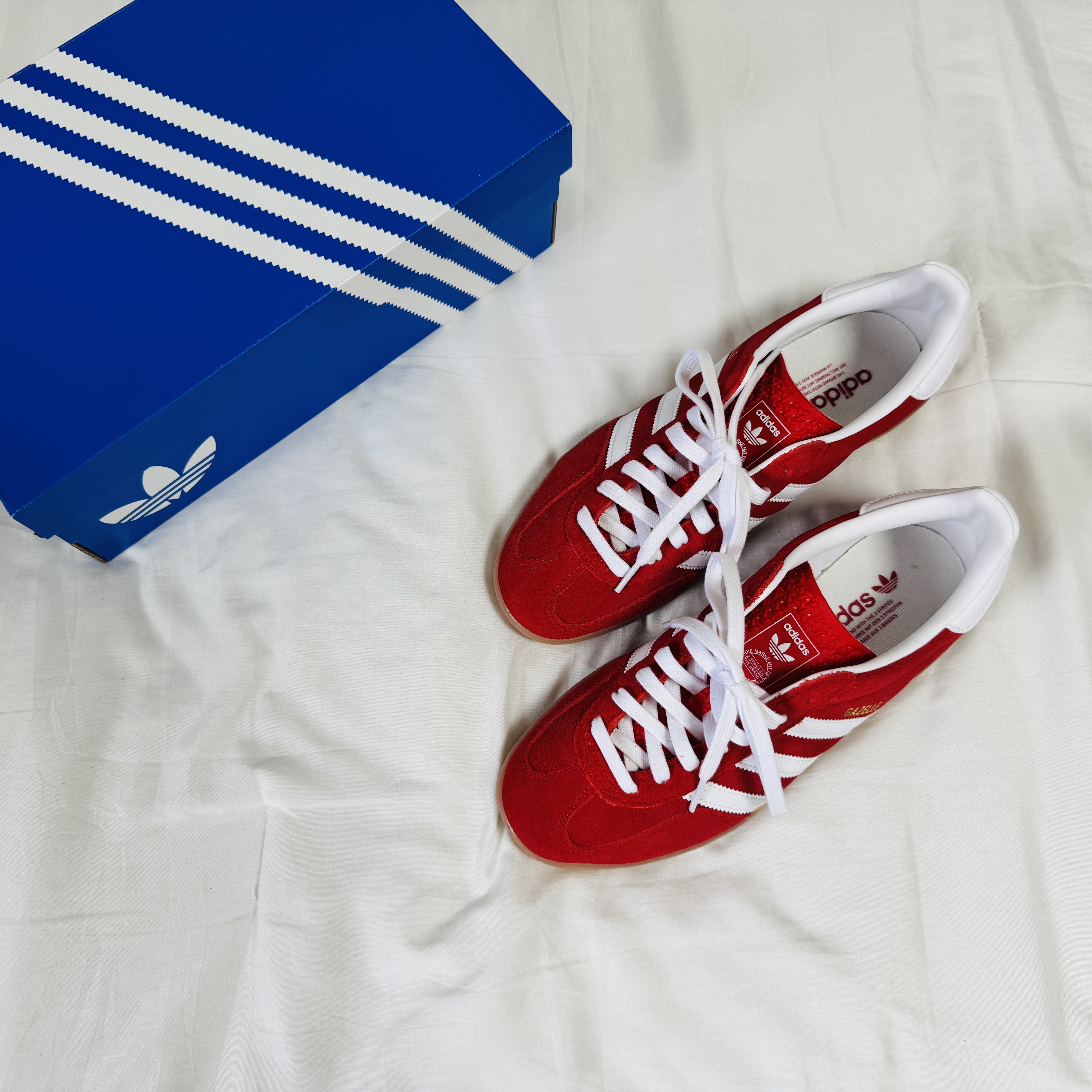 Adidas Gazelle Indoor Better Scarlet Cloud White 착용 스타일 - 2