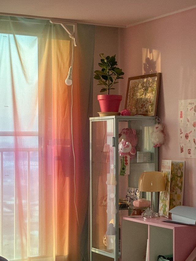 Gradation chiffon curtain / Pink&sky / L Size 착용 스타일