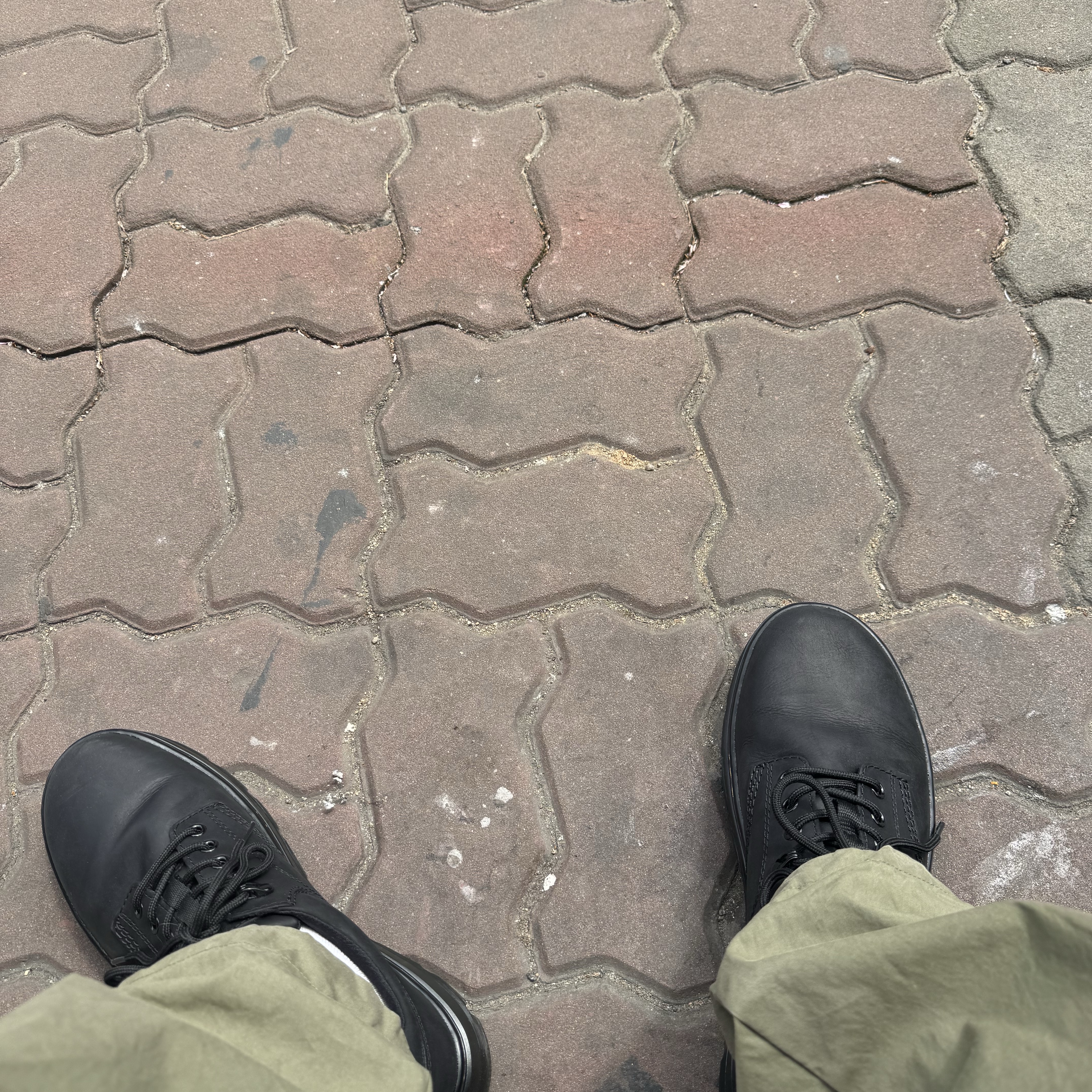 Dr. Martens Reeder Wyoming Leather Utility Shoes Black 착용 스타일