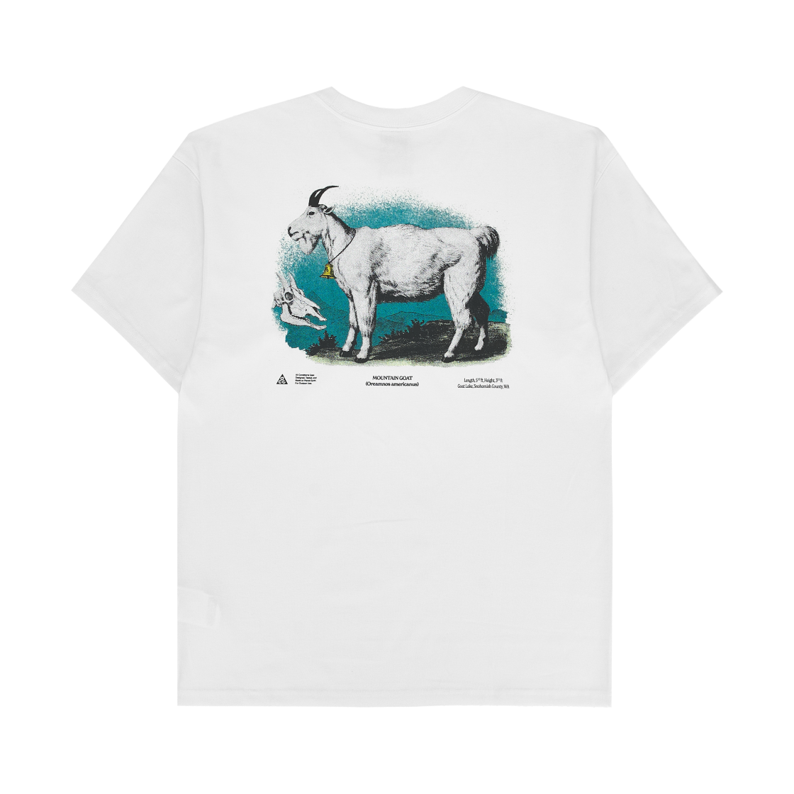 Nike ACG Dri-Fit T-Shirt Summit White - Asia