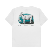 Nike ACG Dri-Fit T-Shirt Summit White - Asia