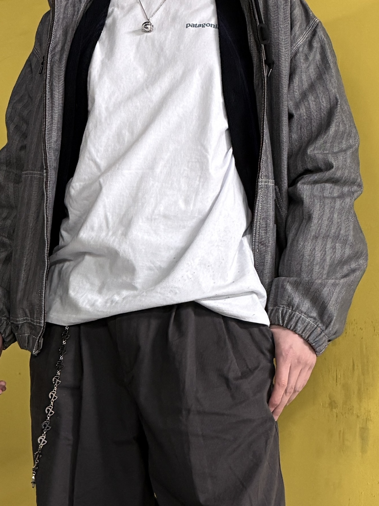 Patagonia Long-Sleeved Flying Fish Responsibili T-Shirt White, Palace x Vivienne Westwood Orb Pendant Silver - 24FW 착용 스타일