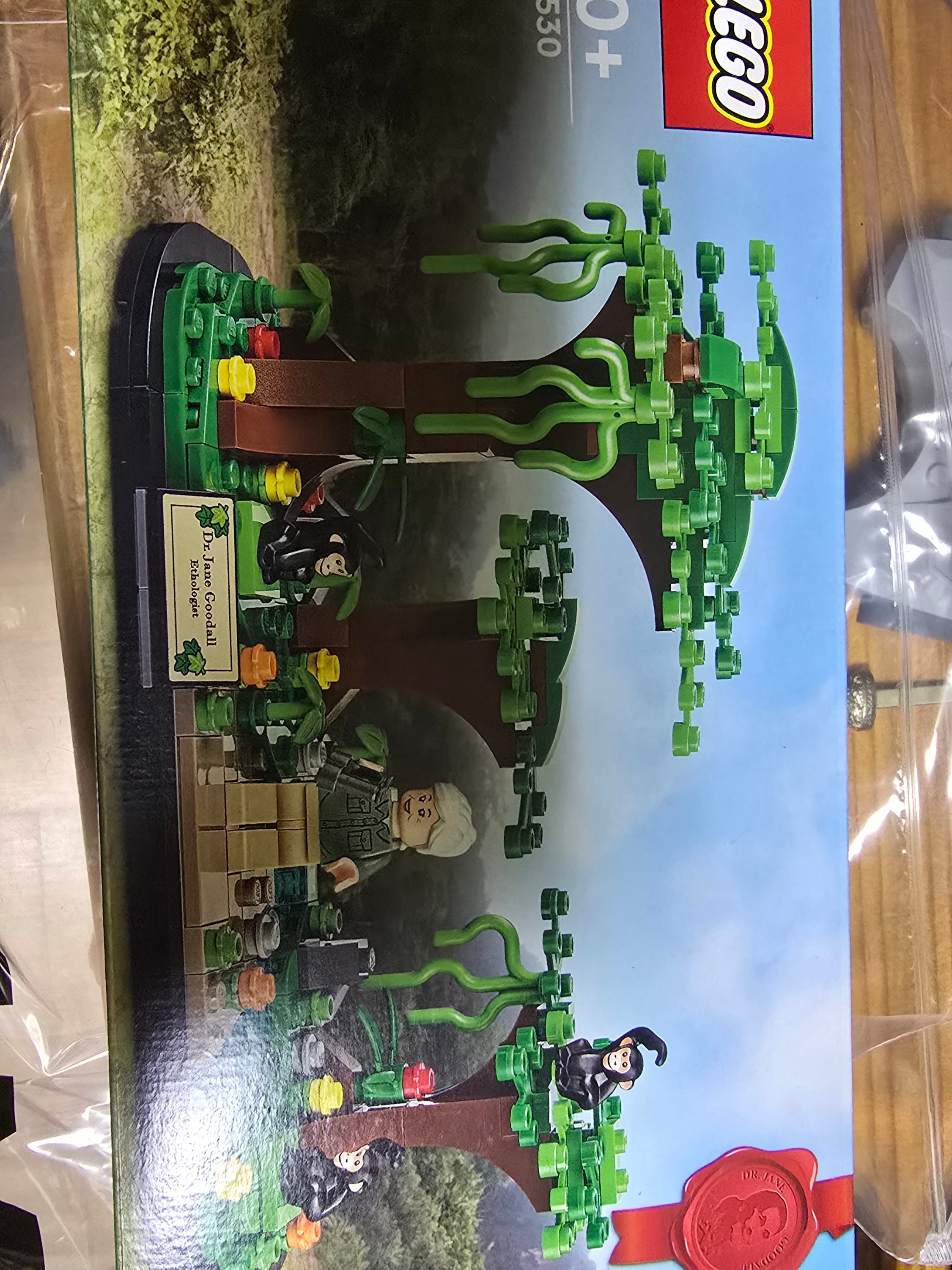 Lego Jane Goodall Tribute 착용 스타일