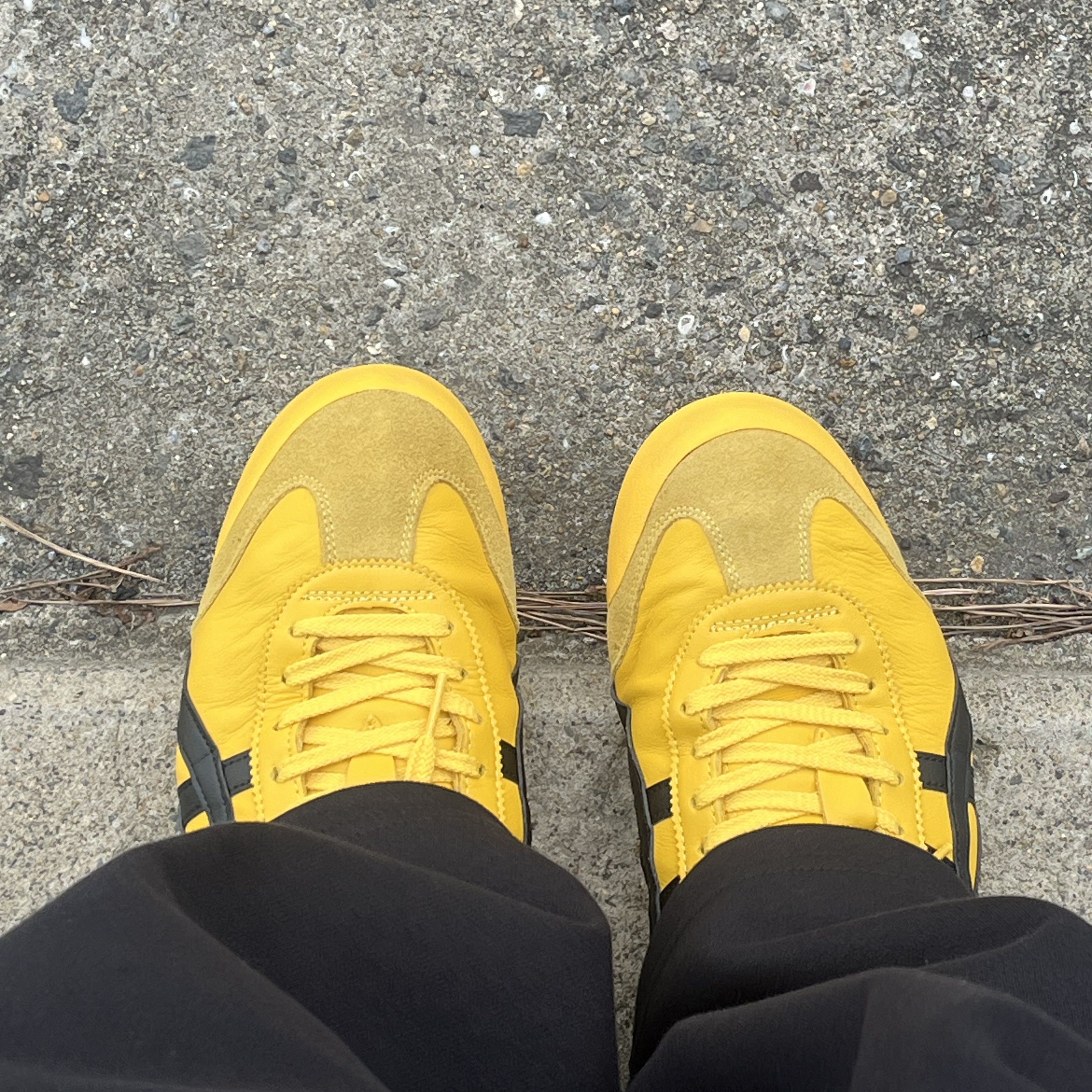 Onitsuka Tiger Mexico 66 Yellow Black 착용 스타일