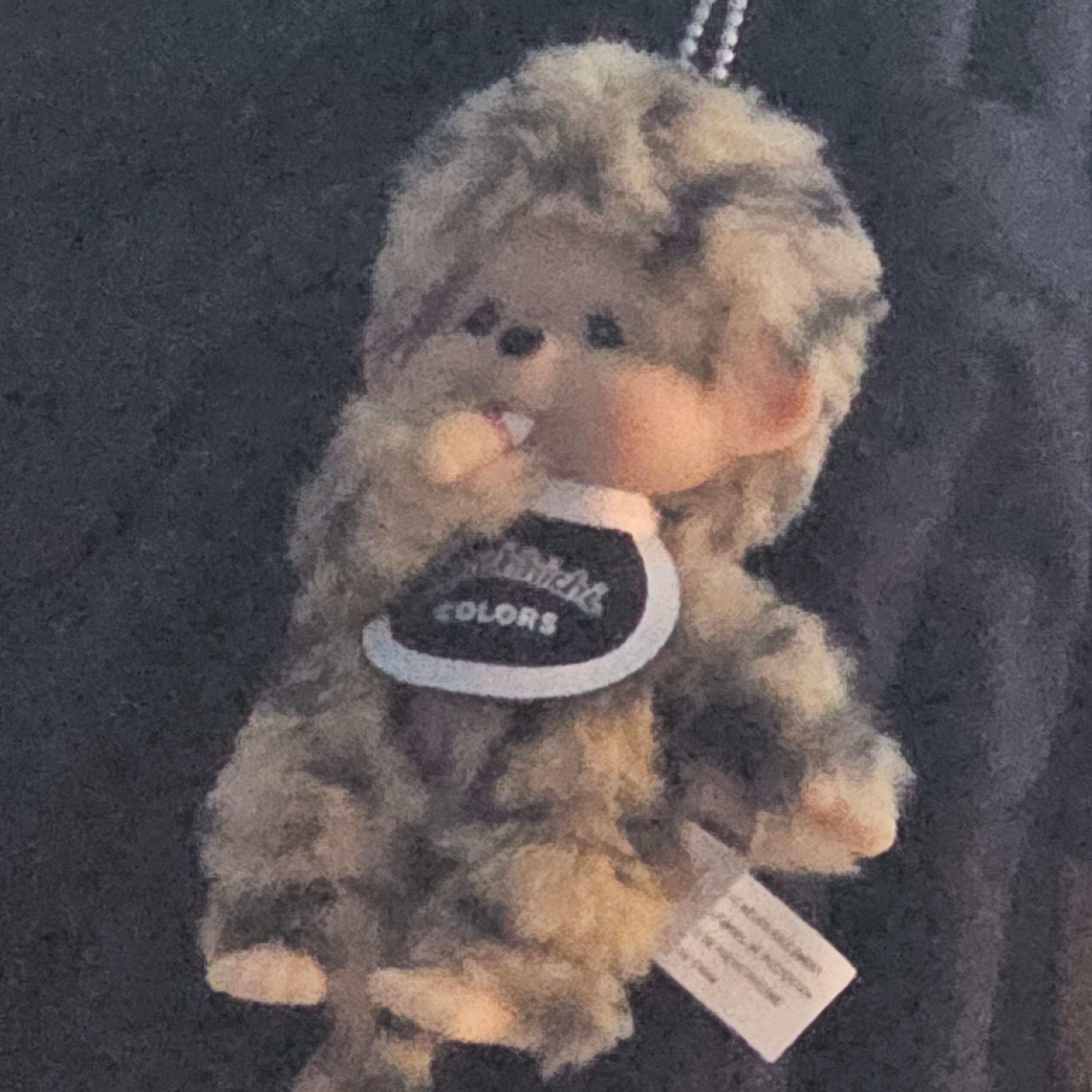 Monchhichi Colors Keychain Leopard Print, Casio G-Shock DW-5600USKE-7 착용 스타일