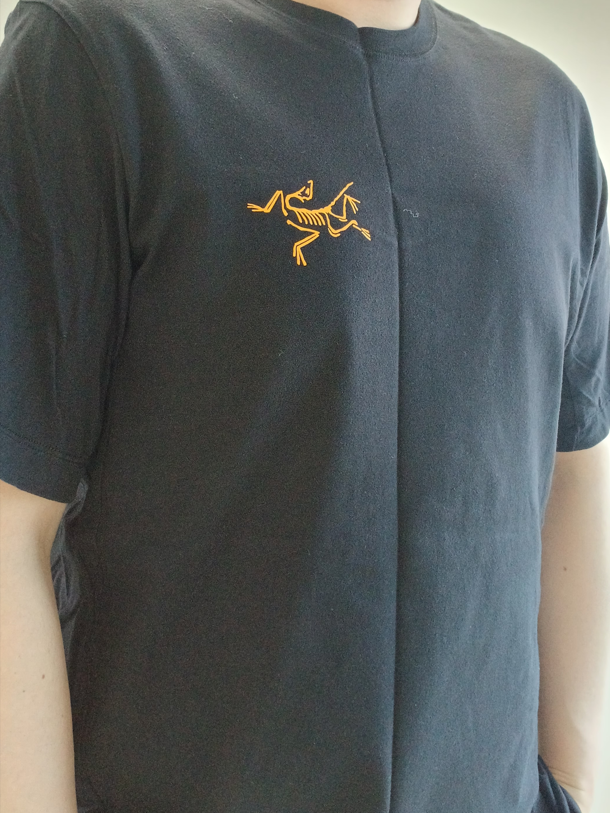 Arc'teryx Arc'Multi Bird Logo SS T-Shirt Black, Arc'teryx Rampart Pants Black 착용 스타일 - 3
