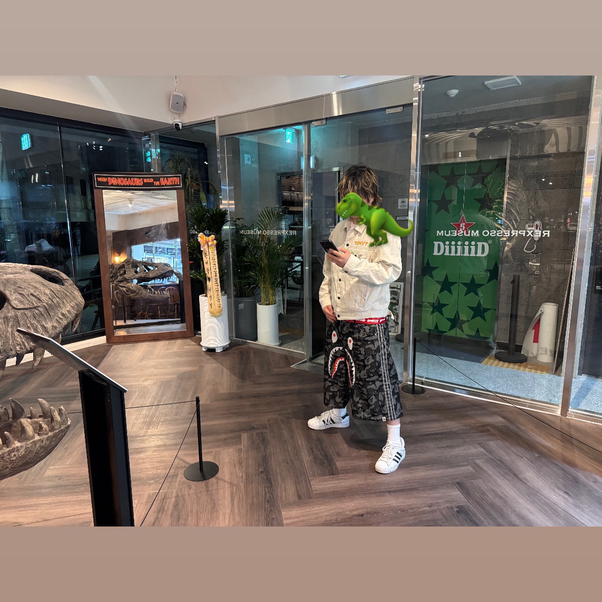 Adidas x BAPE Shark Denim Shorts Black - KR Sizing 착용 스타일