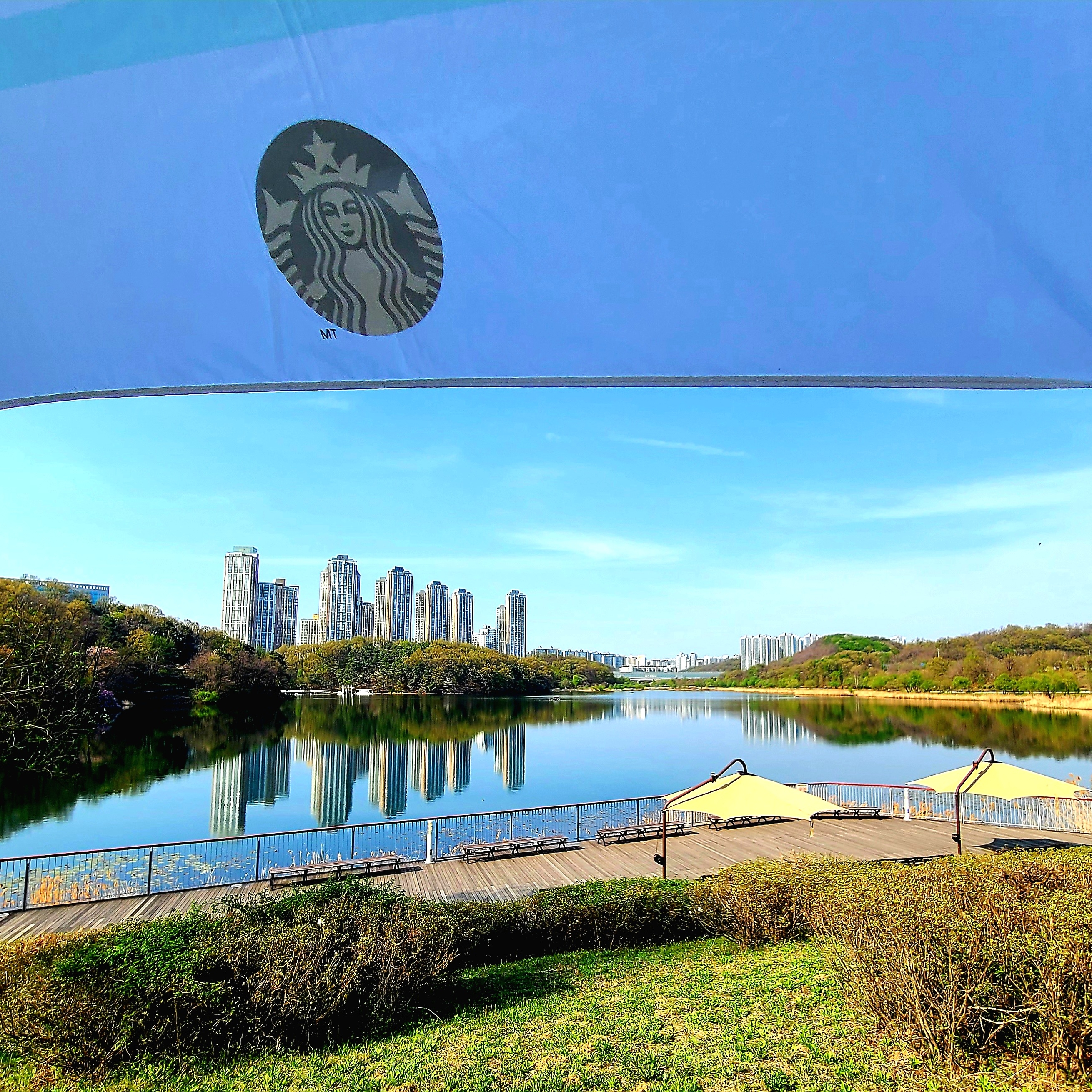 Starbucks Daily 3 Step Umbrella Apple Mint 착용 스타일