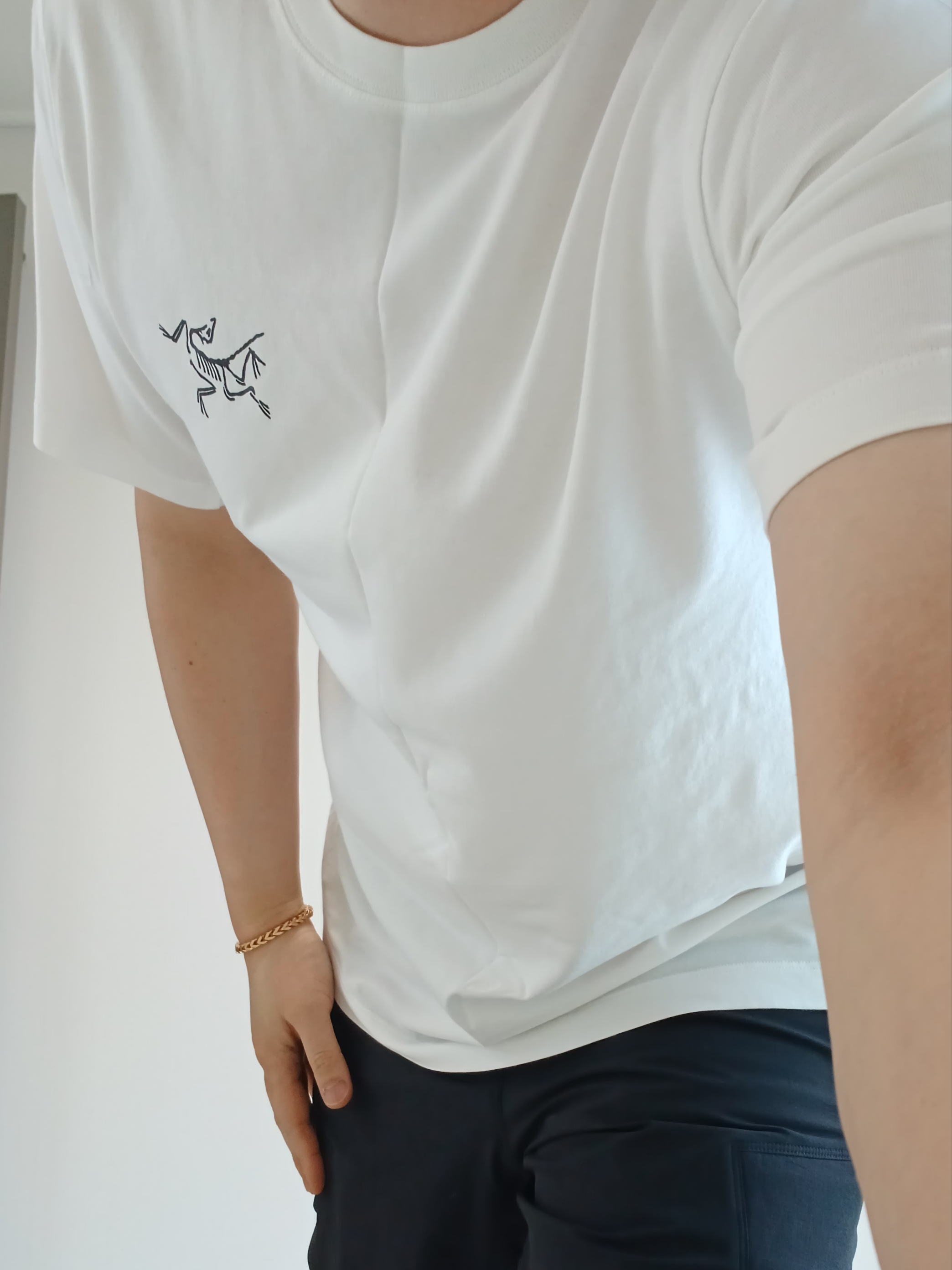 Arc'teryx Arc'Multi Bird Logo SS T-Shirt White Light, Arc'teryx Rampart Pants Black 착용 스타일 - 7