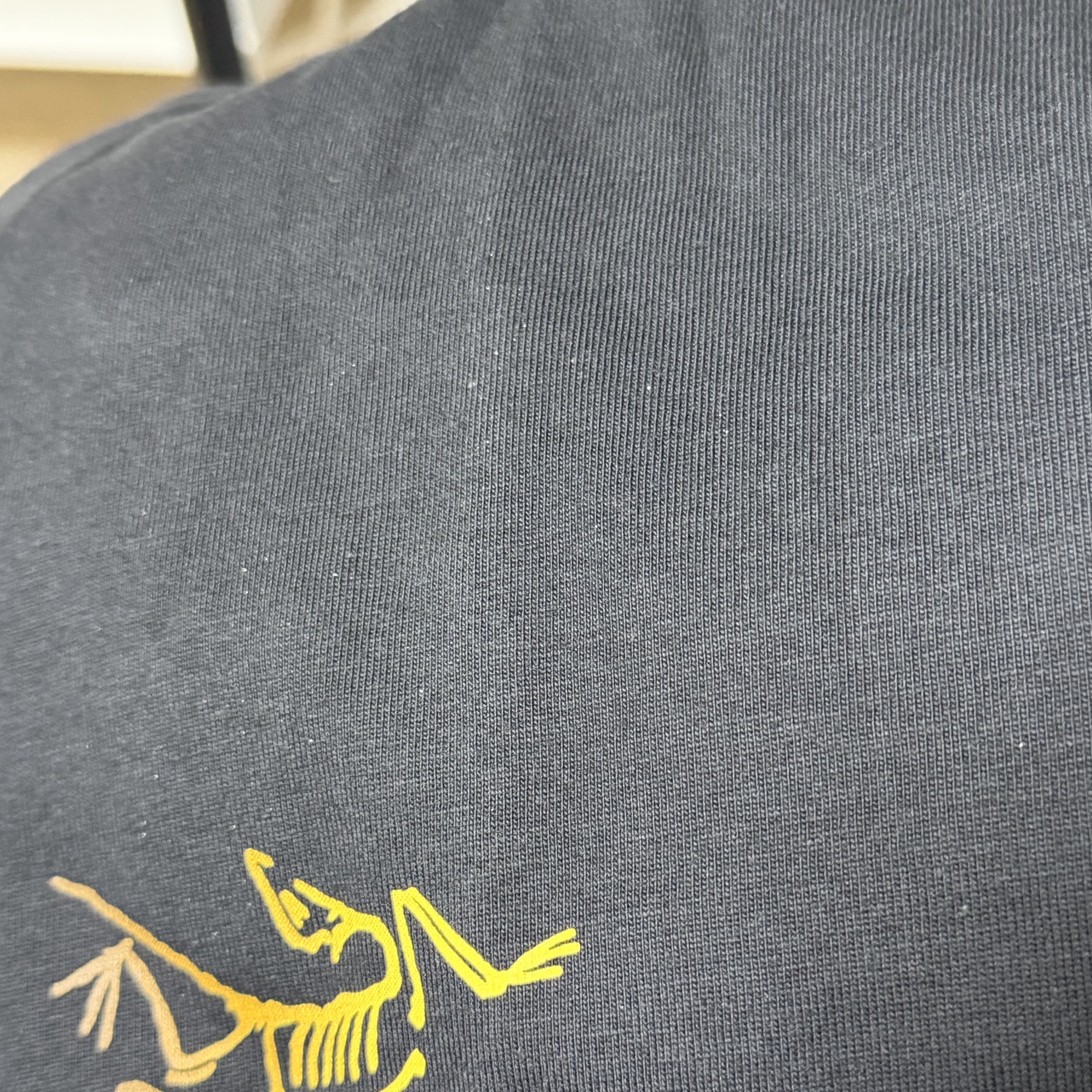 Arc'teryx Kragg Cotton Logo SS T-Shirt 24K Black 착용 스타일