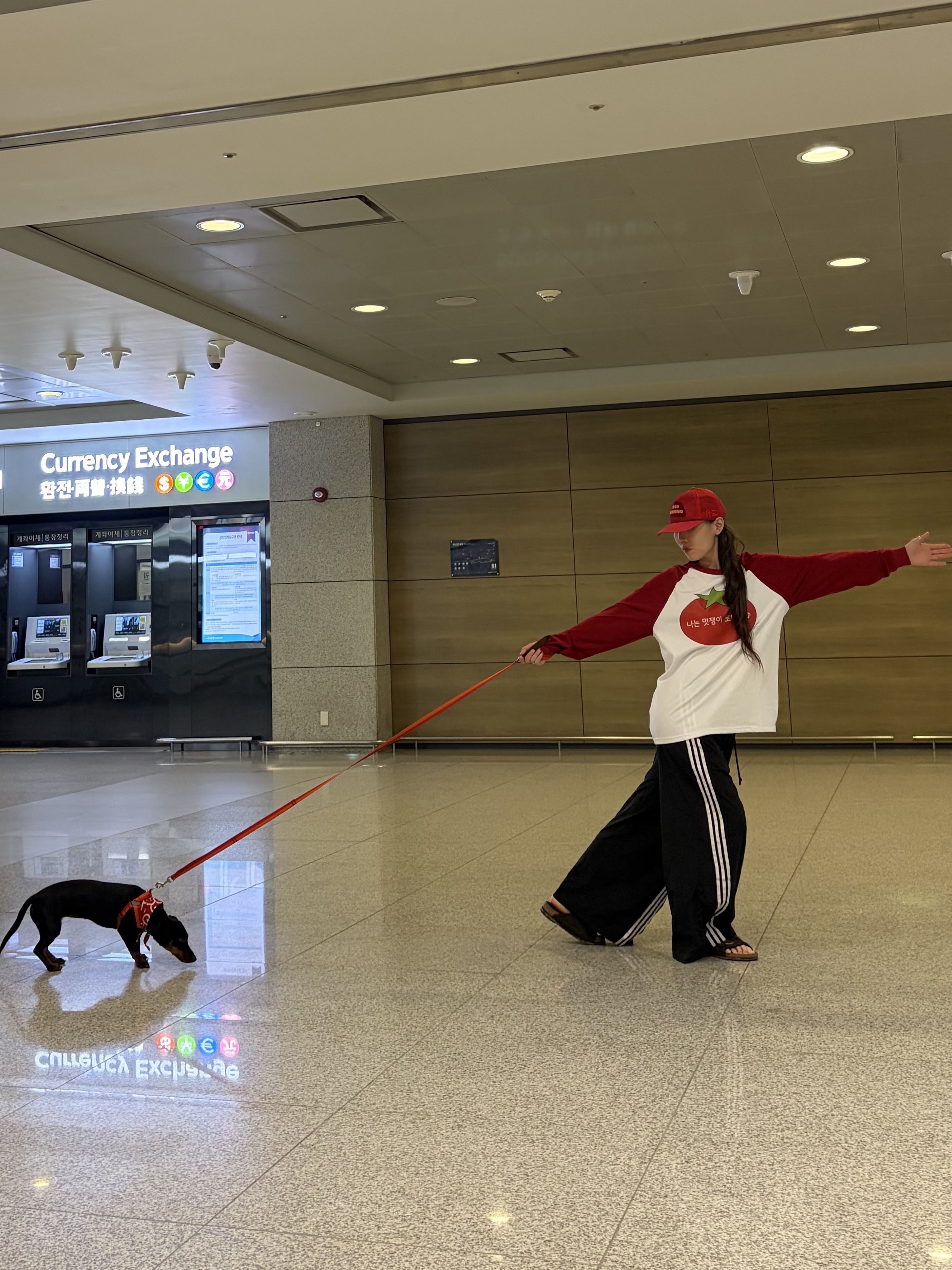 Alex Zono I Dig Running Red Mesh Trucker Hat Red, (W) Adidas Adilenium Oversized Track Pants Black - KR Sizing 착용 스타일 - 1